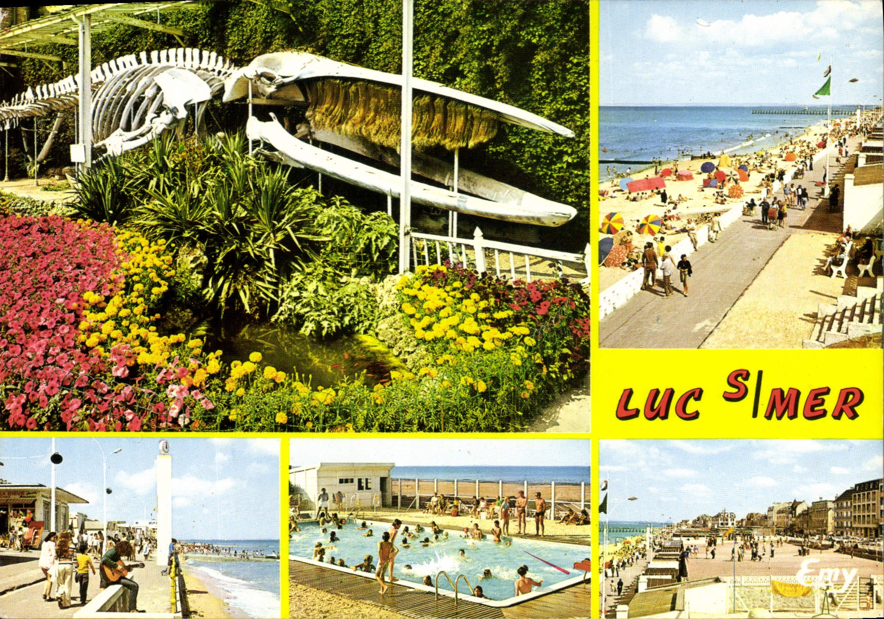 CPSM Luc sur Mer Calvados le parc municipal et le Squelette de la Baleine echouee a Luc en Janvier 1