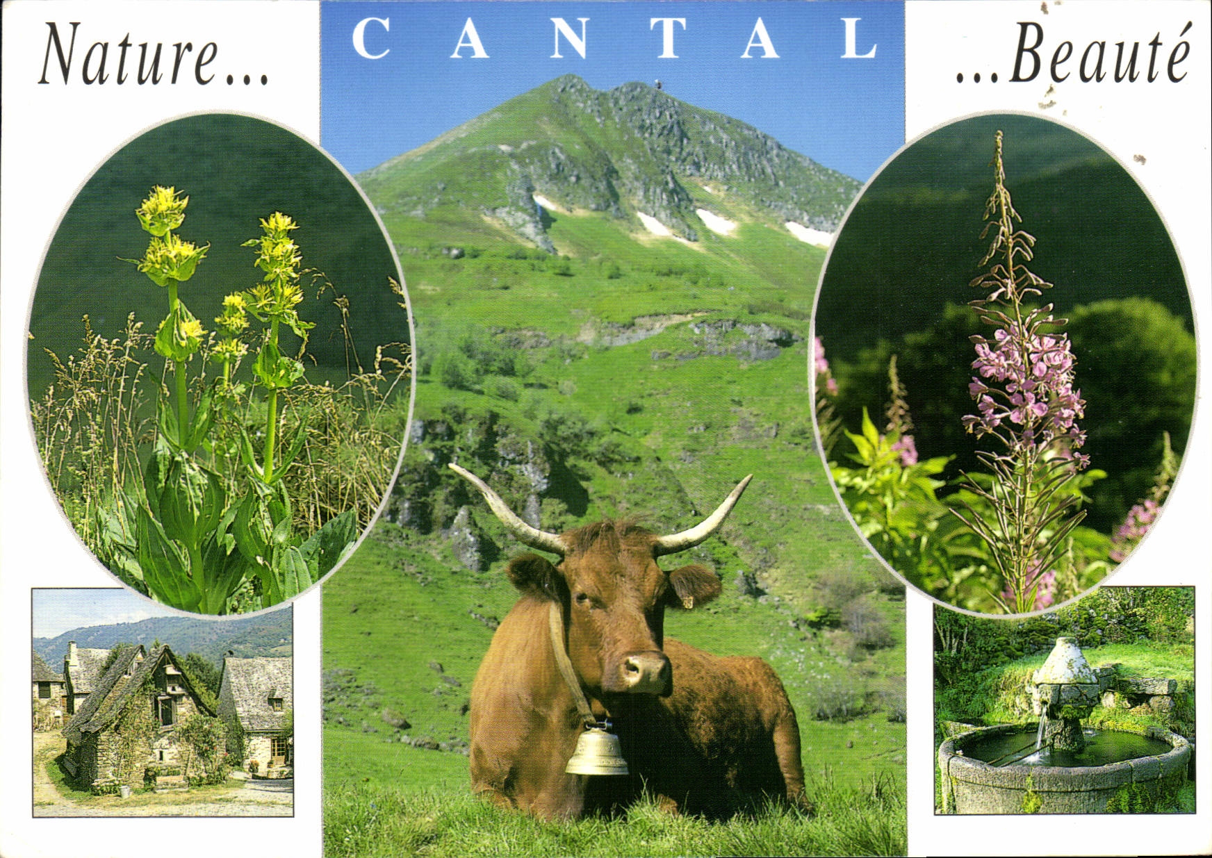 CPSM En Auvergne Divers aspects du Cantal 