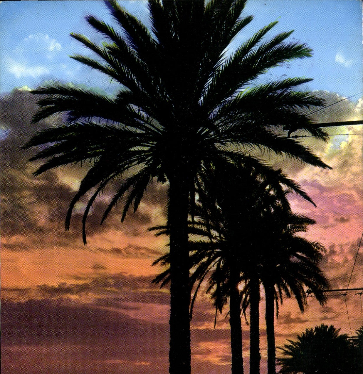 CPSM La Cote d'Azur Toulon Var coucher du soleil sur le Mourillon 