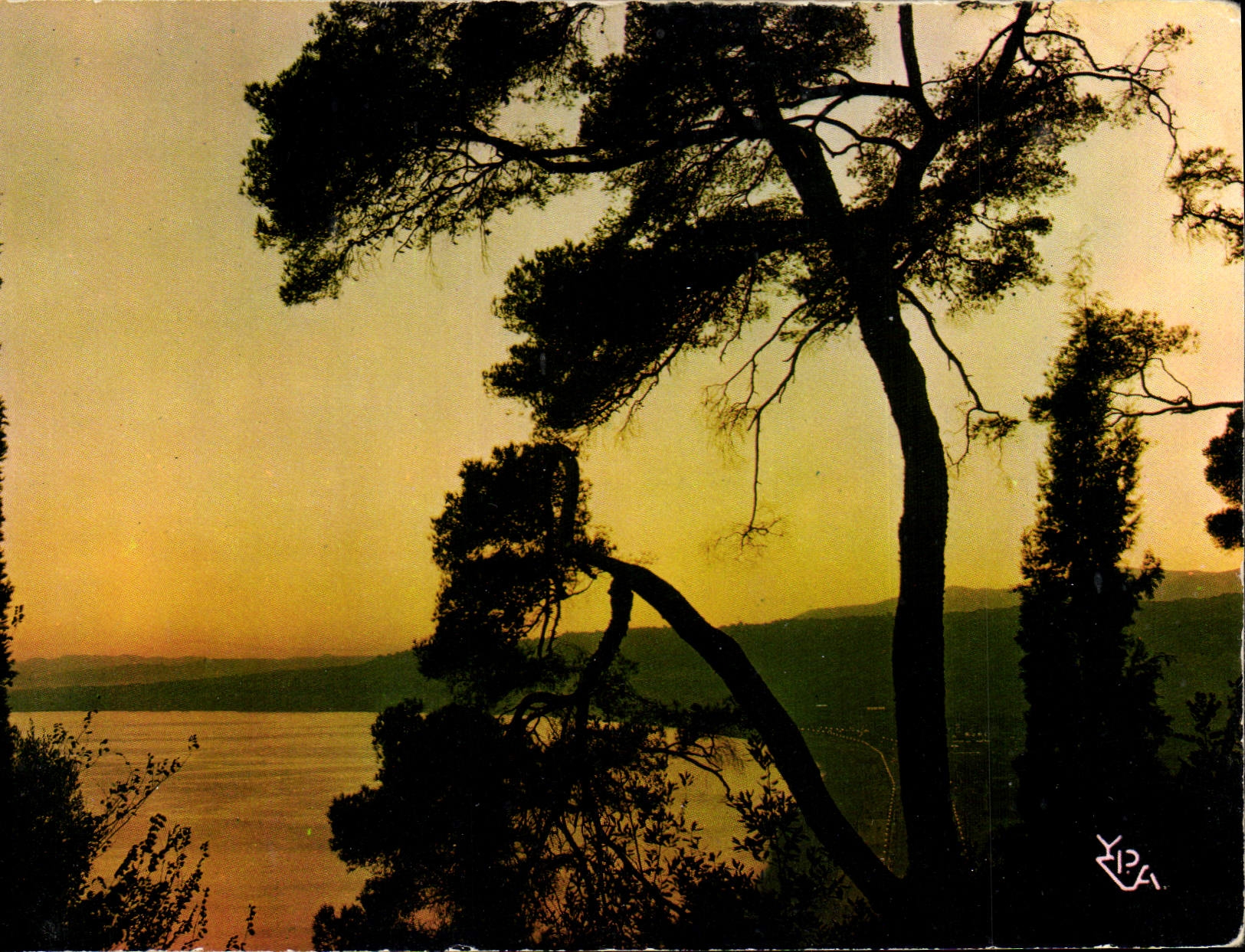 CPSM Au soleil de la Cote d'Azur Crepuscule sur la Mediterranee