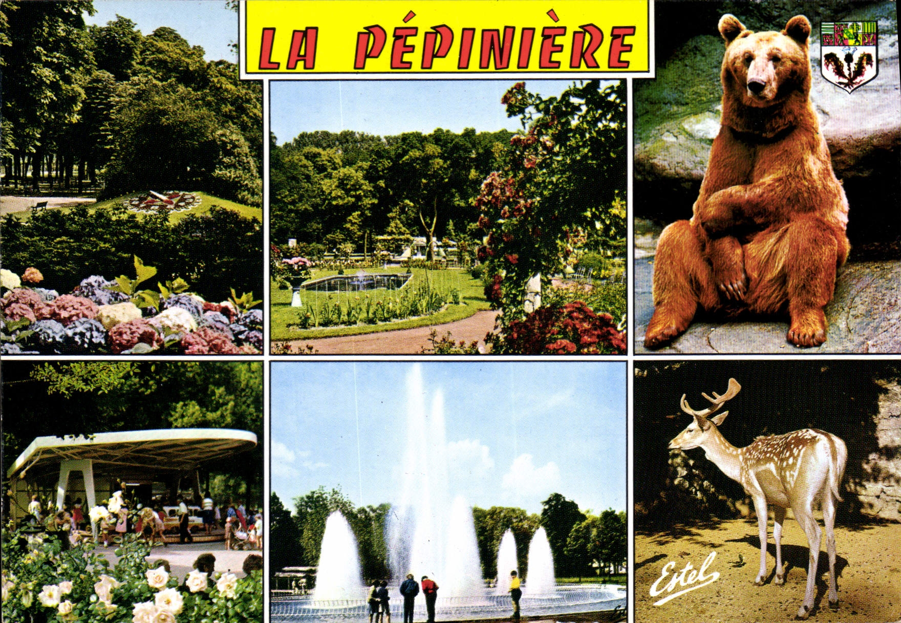 CPSM Nancy Meurthe et Moselle la Promenade et le parc de la Pepiniere l'Horloge Florale la roseraie