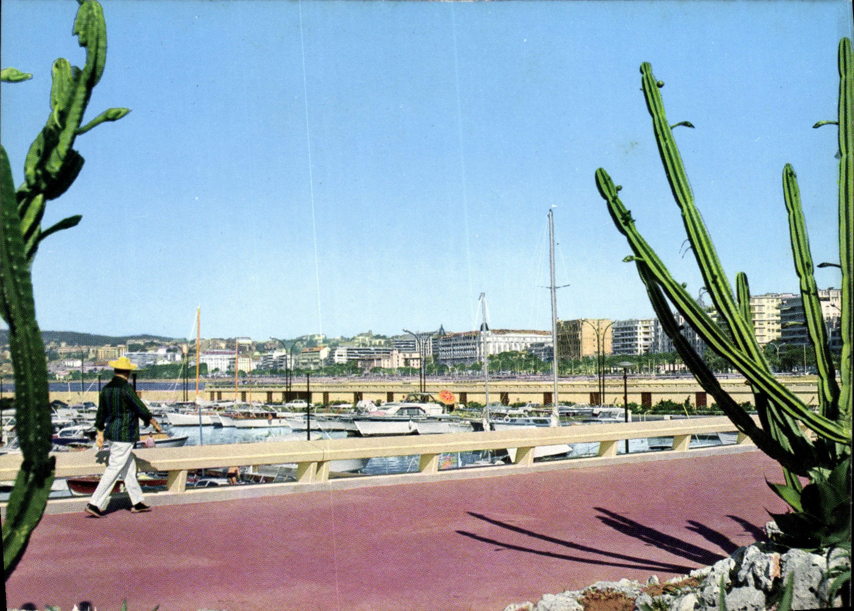 CPSM Cannes la Croisette vue du nouveau port