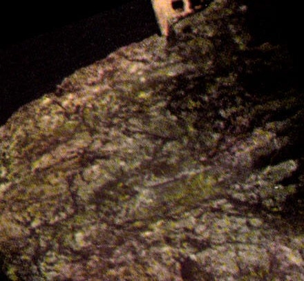 CPSM Le Puy en Velay la nuit Haute Loire ensemble de la Vallee d'Aiguilhe et le rocher Saint Michel