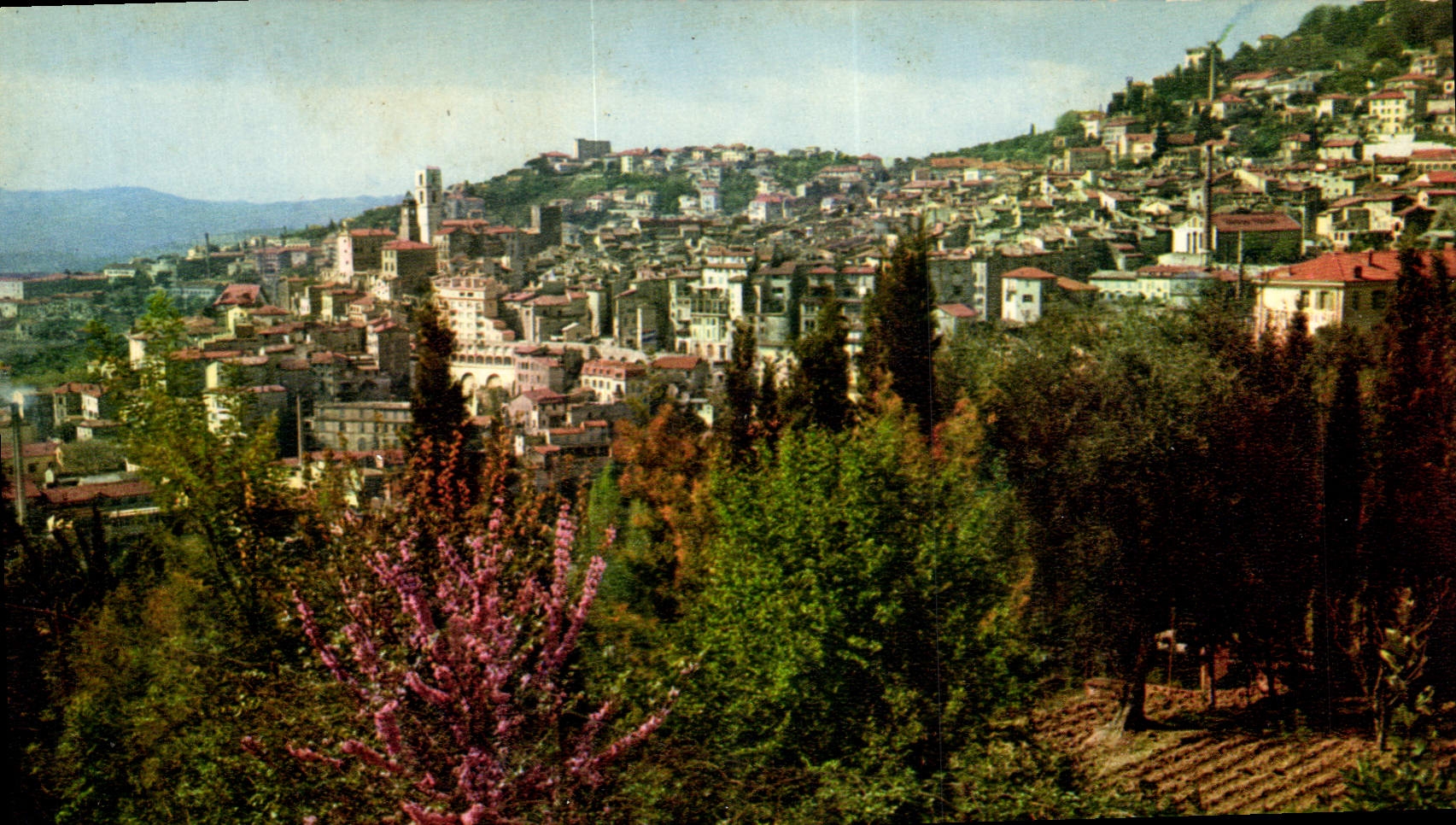 CPSM La Cote d'Azur miracle de la nature Grasse Alpes Maritimes vue generale 