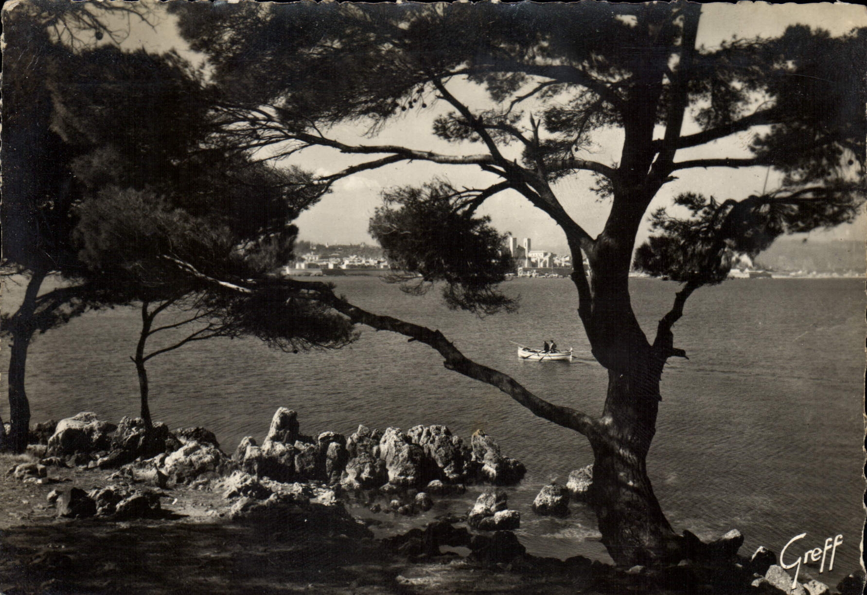CPSM La Cote d'Azur Antibes Alpes Maritimes Pins et rochers du Cap 