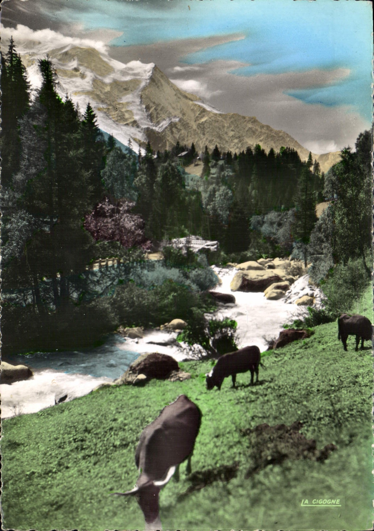 CPSM Chamonix Haute Savoie les bords de l'Arve et le Mont Blanc