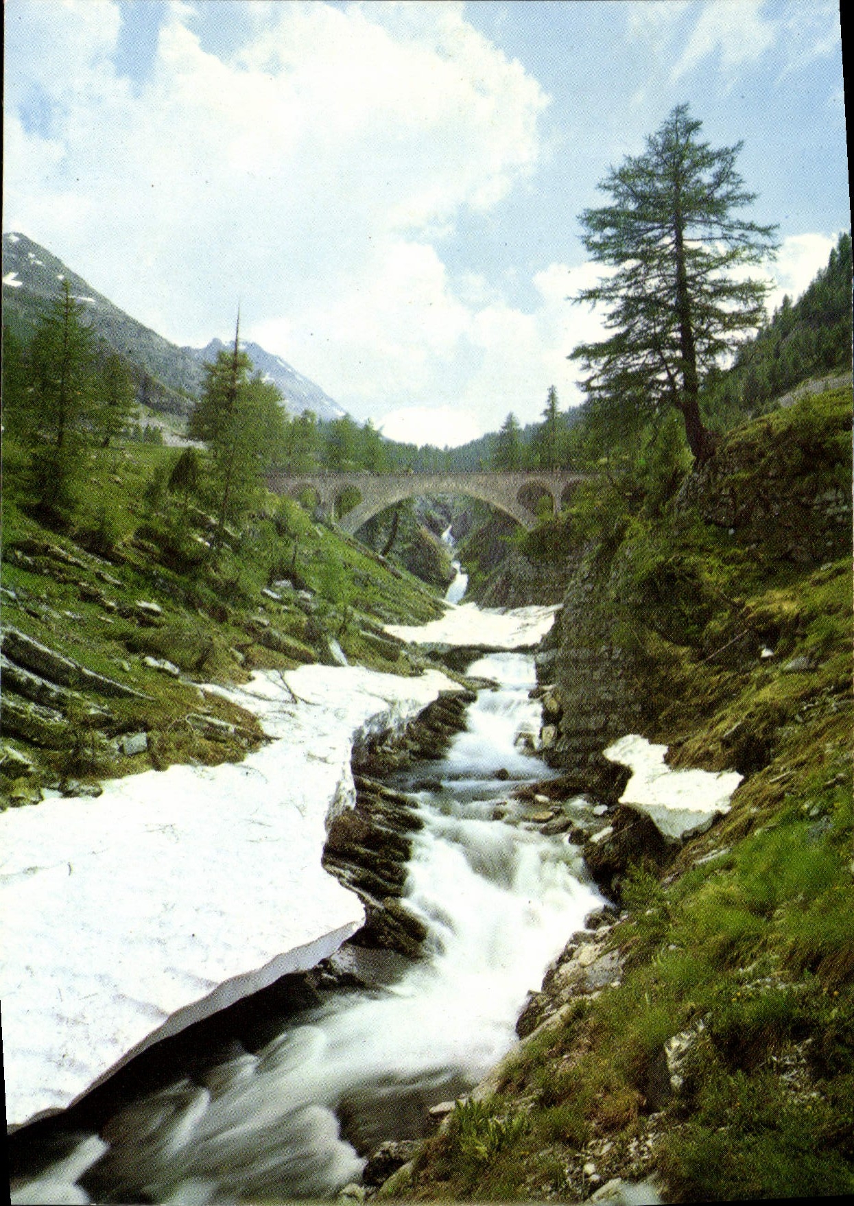 CPSM Paysages de France Col de la Cayolle Reliant Guillaumes Alpes Maritimes a Barcelonnette Alpes d