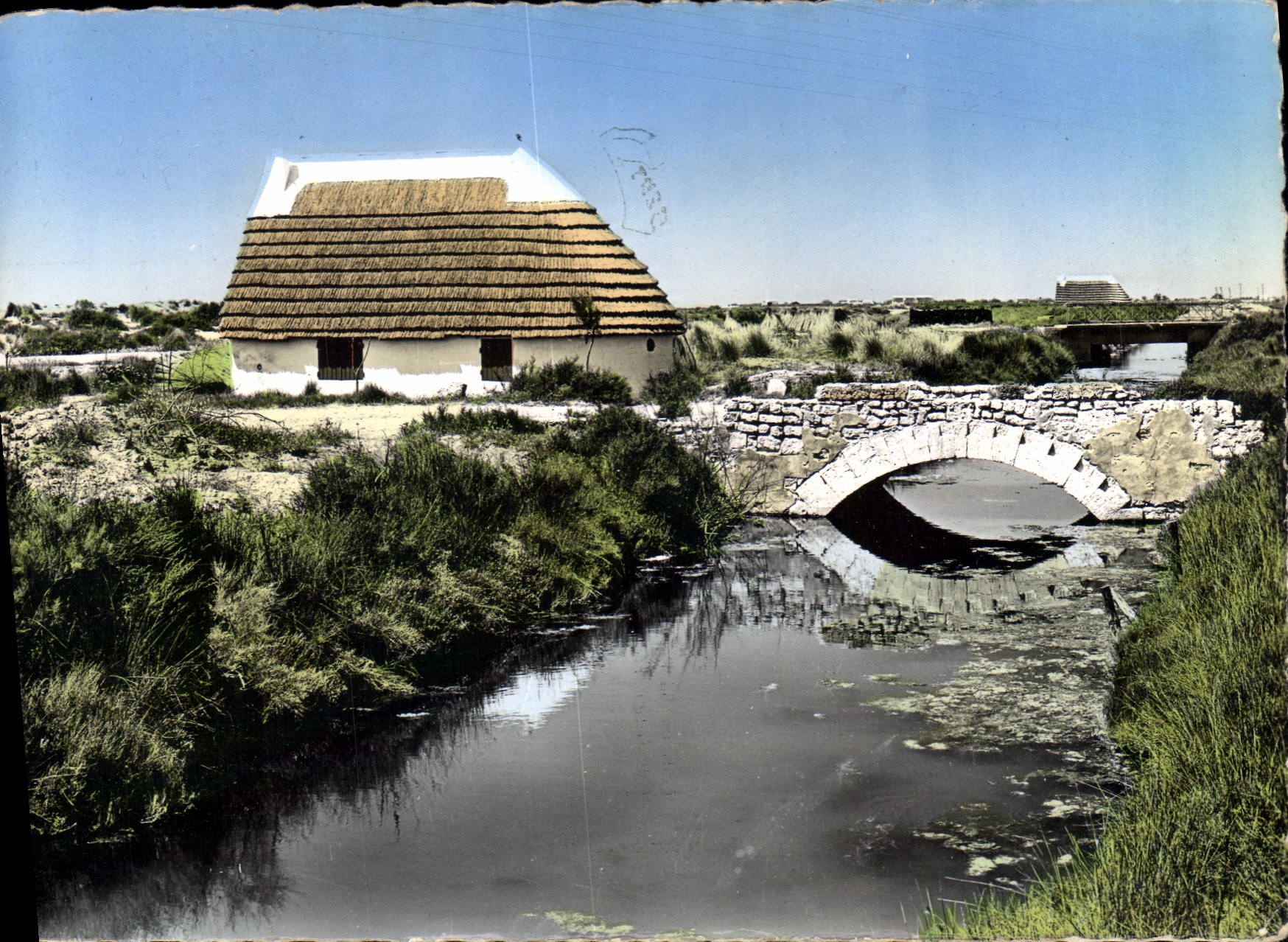 CPSM Paysage de Camargue et cobone de gardian 