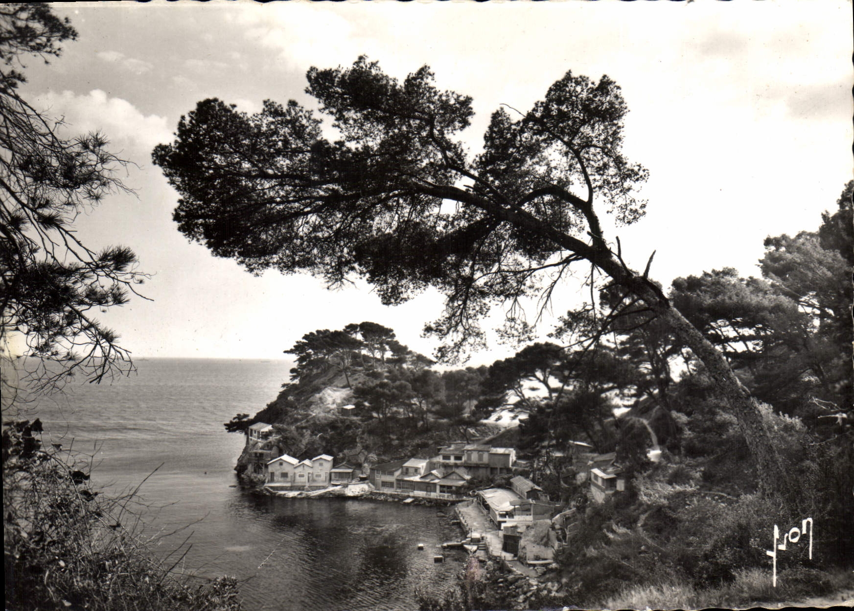 CPSM Toulon Var Le Cap Brun Port Magaud 