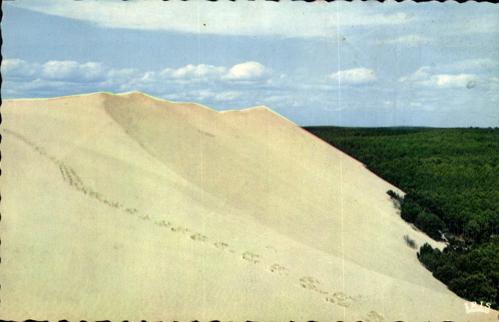 CPSM Bassin d'Arcachon La Dune du Pilat La plus haute duns d'Europe