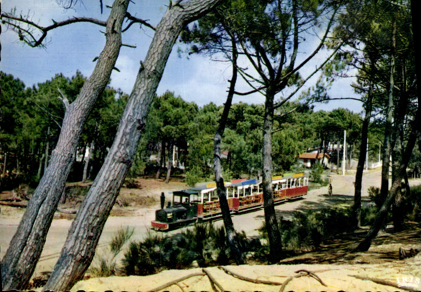 CPSM Bassin d'Arcachon Le Petit Train du Cap Ferret