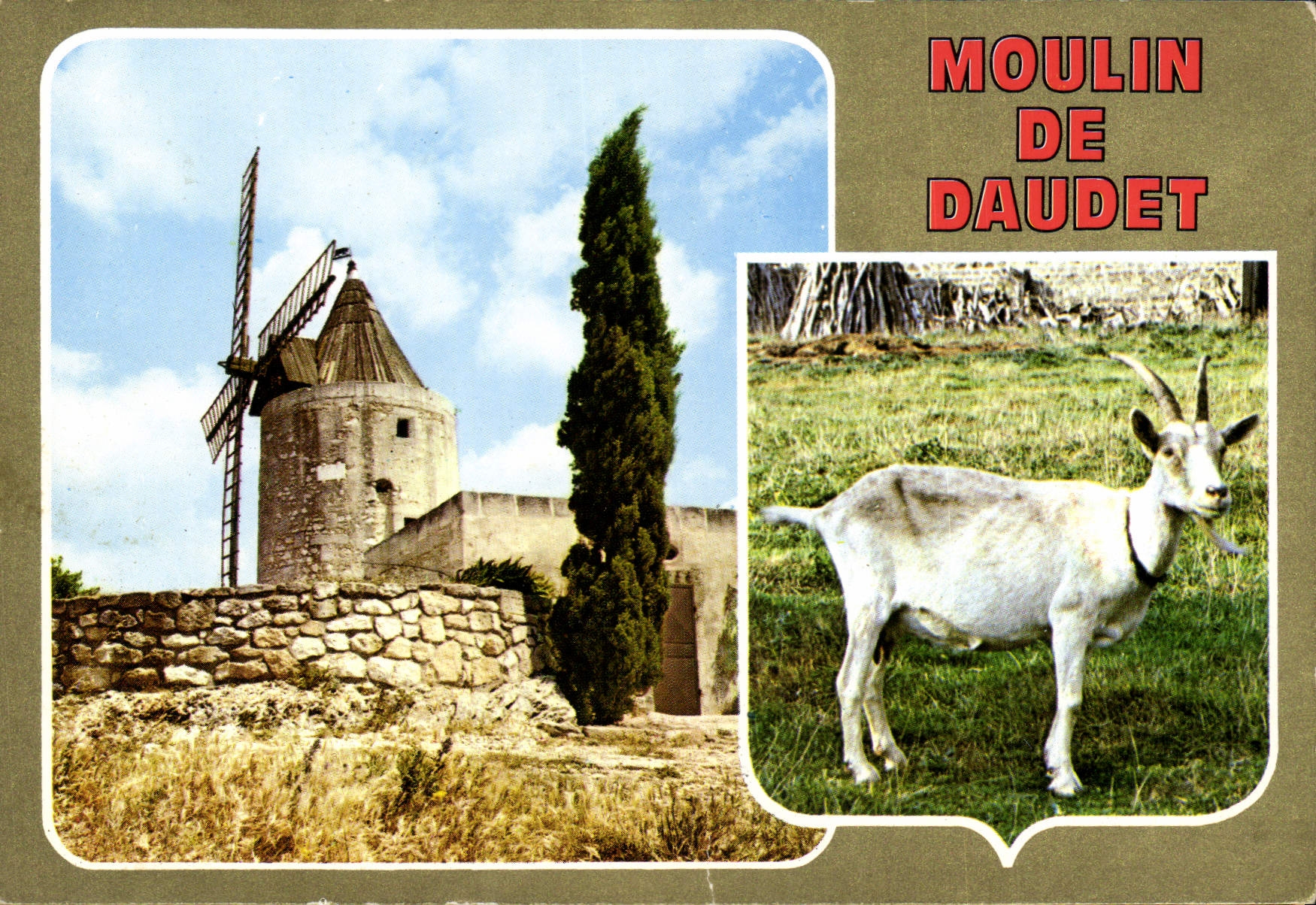 CPSM Provence Le Moulin de Daudet Le Moulin de Daudet et la chevre de Mr Seguin sont inseparables et