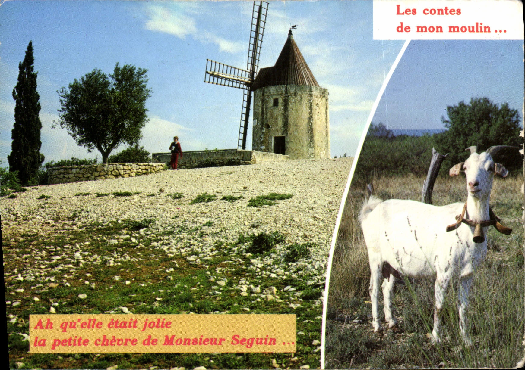CPSM Lumiere de Provence Au bord des Alpilles le moulin d'Alphonse Daudet 