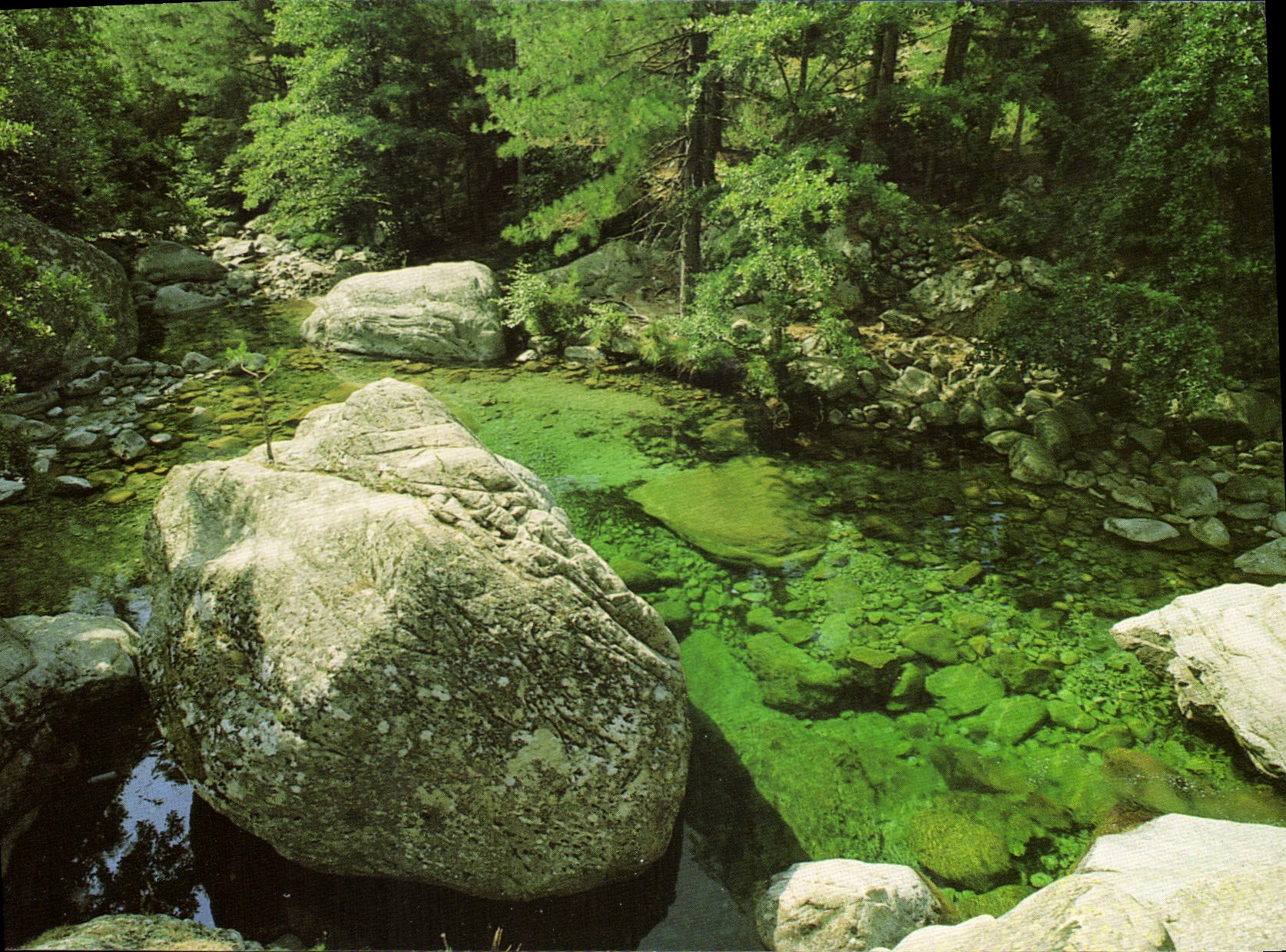 CPSM Souvenir de Corse Restonica 