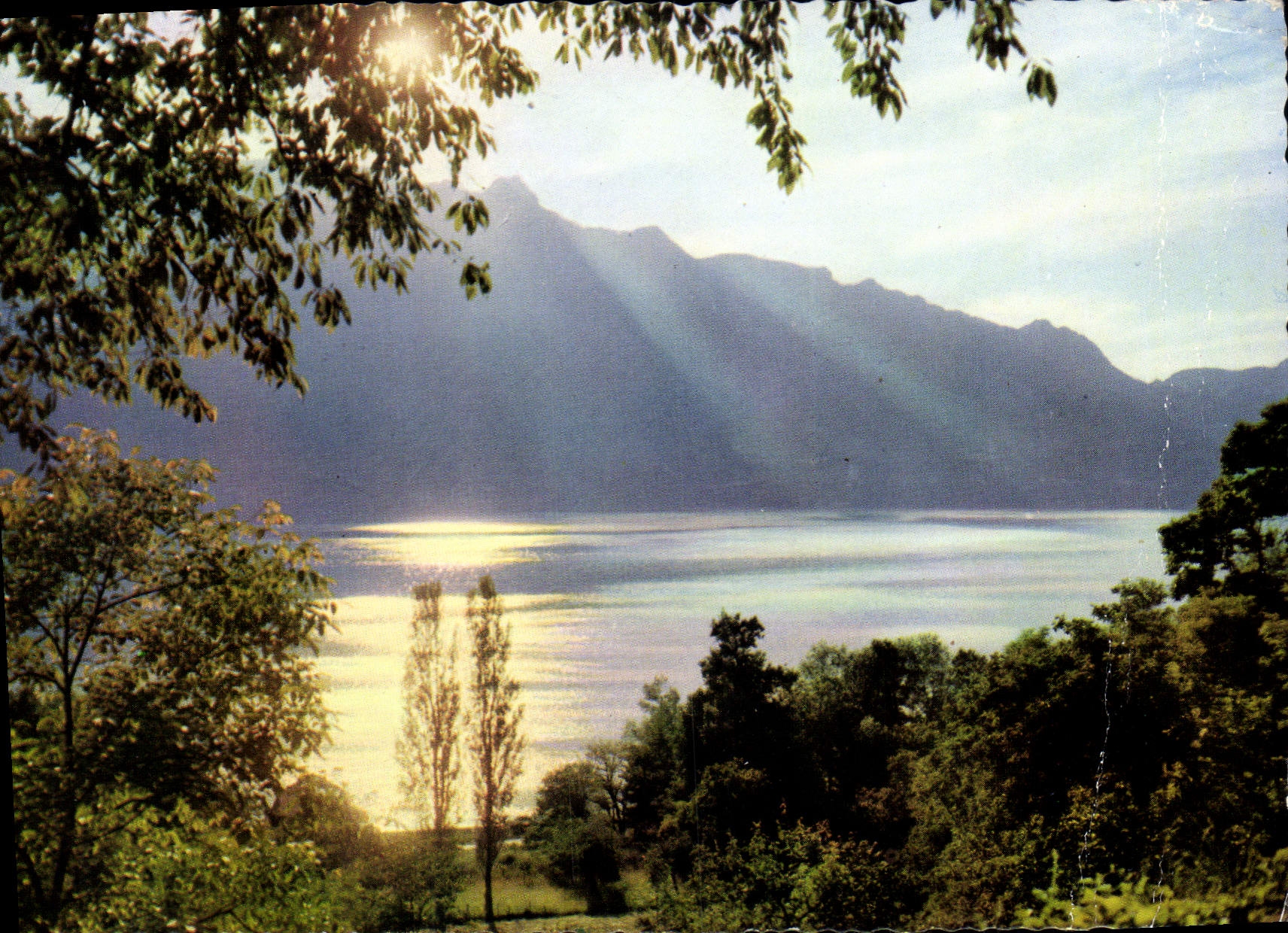 CPSM Lac du Bourget l'heure crepusculaire et Dent du Chat