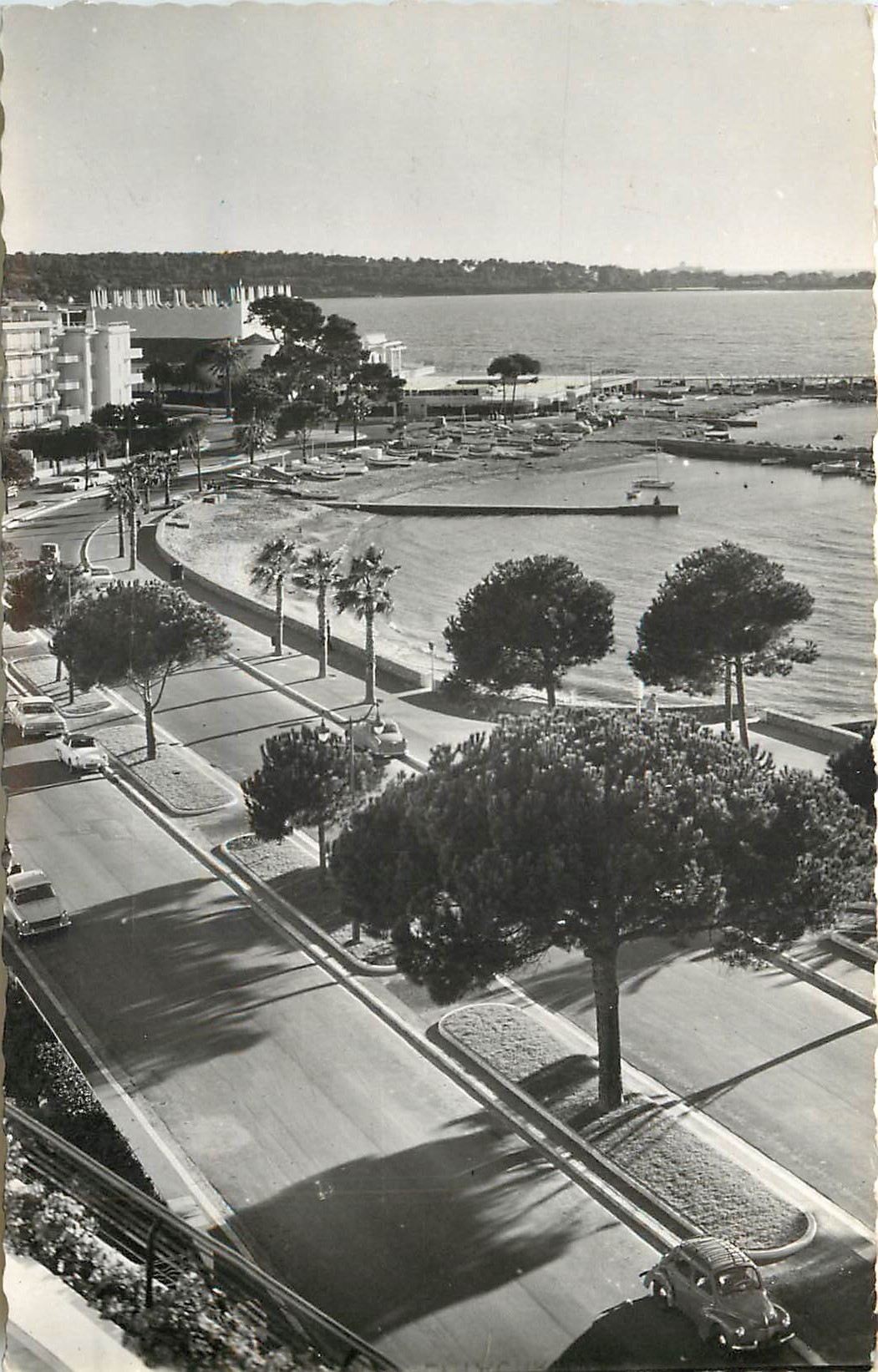 CPA Cannes la promennade de la Croisette dans le fond le casino du Palm Beach et l'Ile Seinte Margue