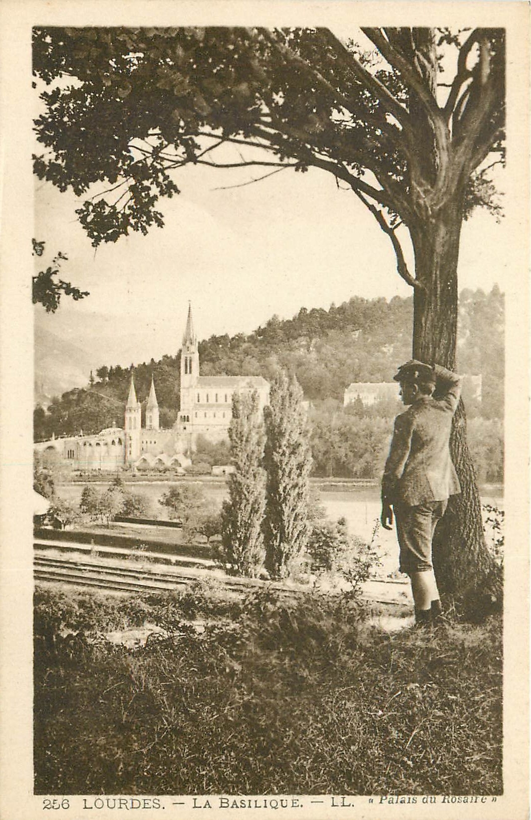 CPA Lourdes La Basilique Le Palais du Rosaire