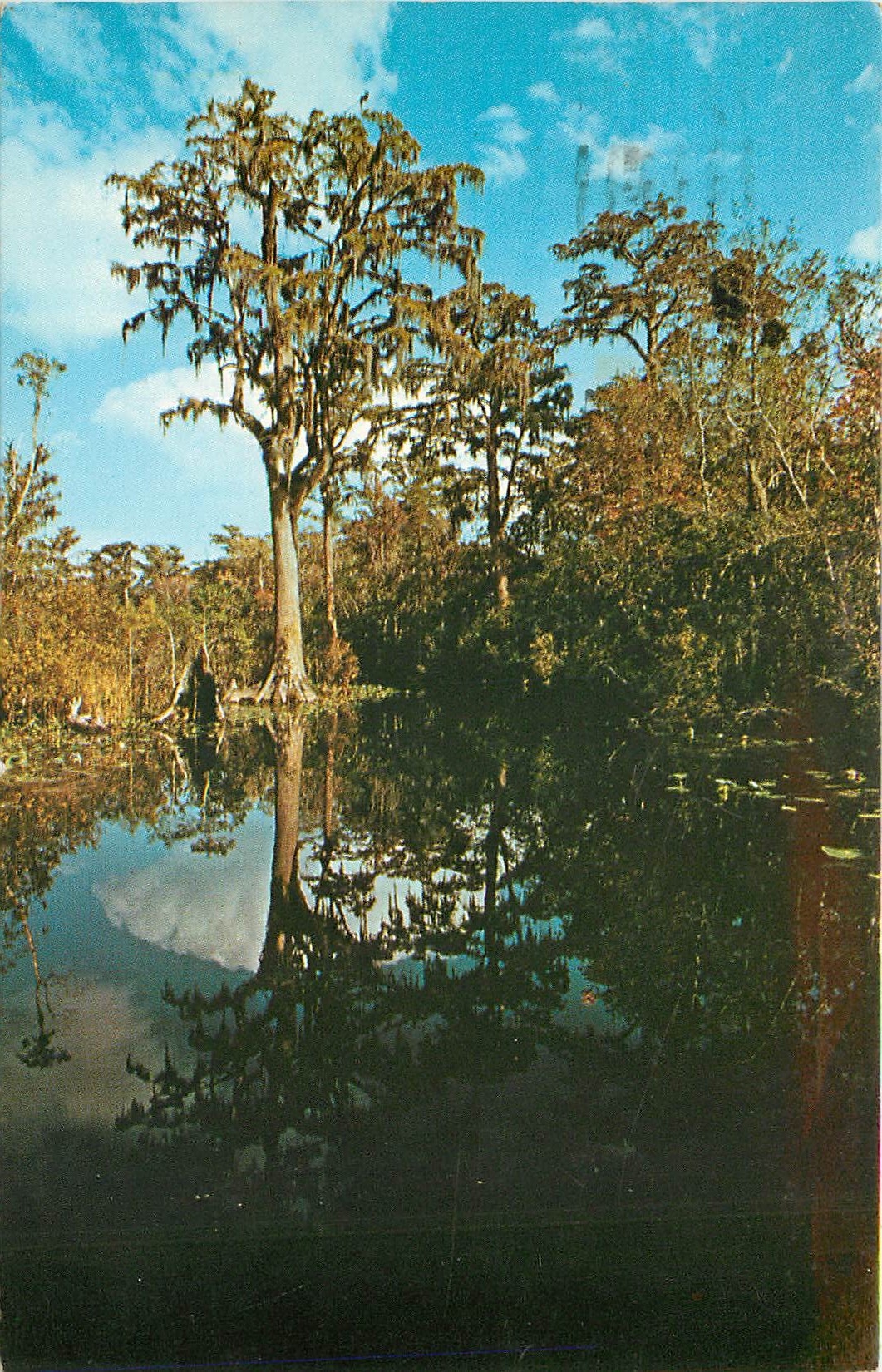 CPA Route Fargo Georgia