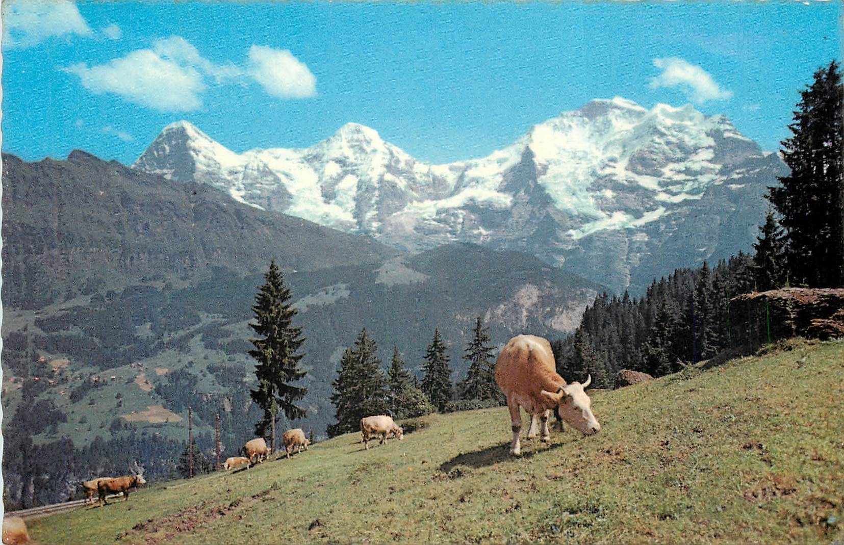 CPA Elger Monch und Jungfrau