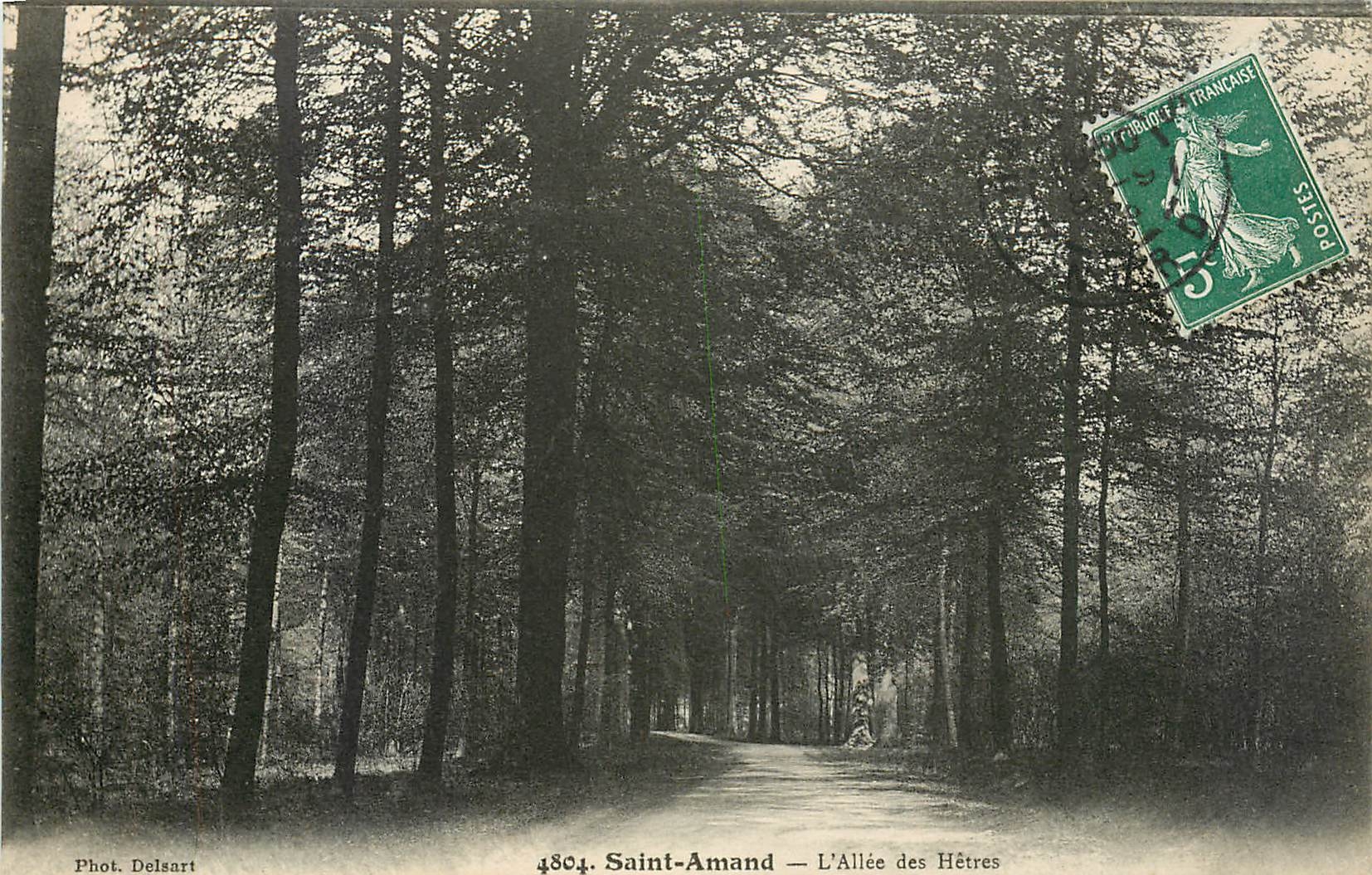 CPA Saint Amand L'Allee des Hetres