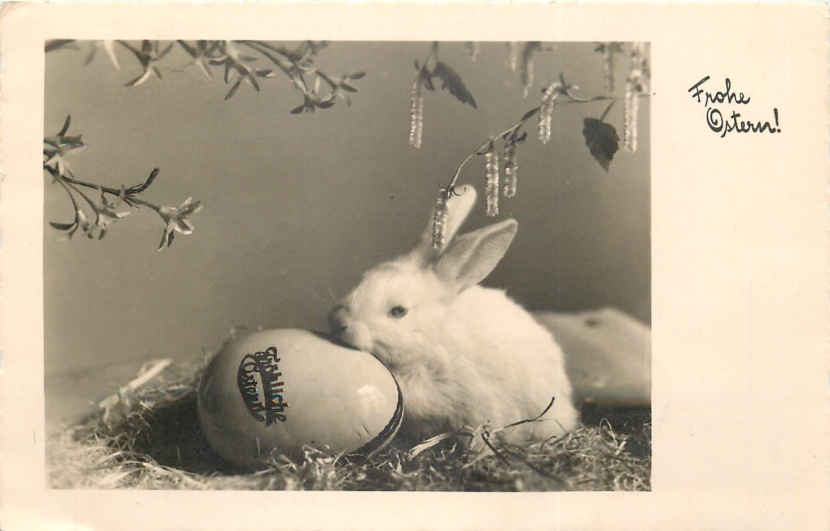 CPA Pâques lapin