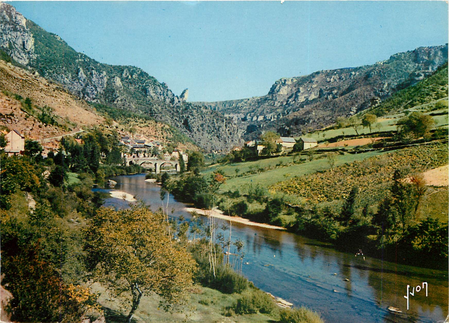CPSM Gorges du Tarn (Lozere) Les Vignes