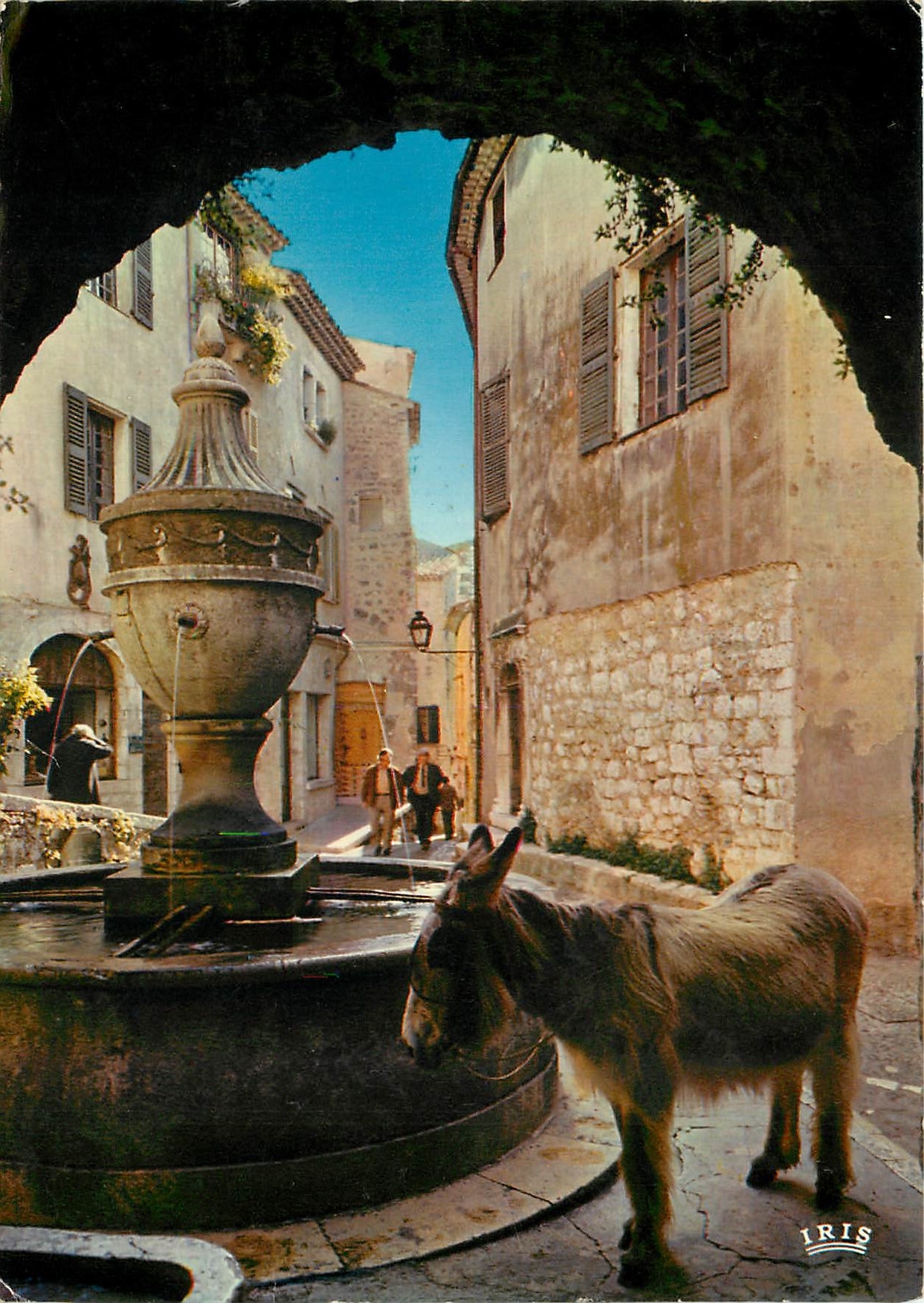CPSM La Cote d'Azur Saint Paul de Vence Halre a la Fontaine