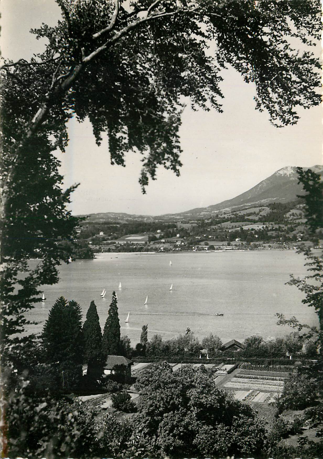 CPSM Annecy Vue sur le lac