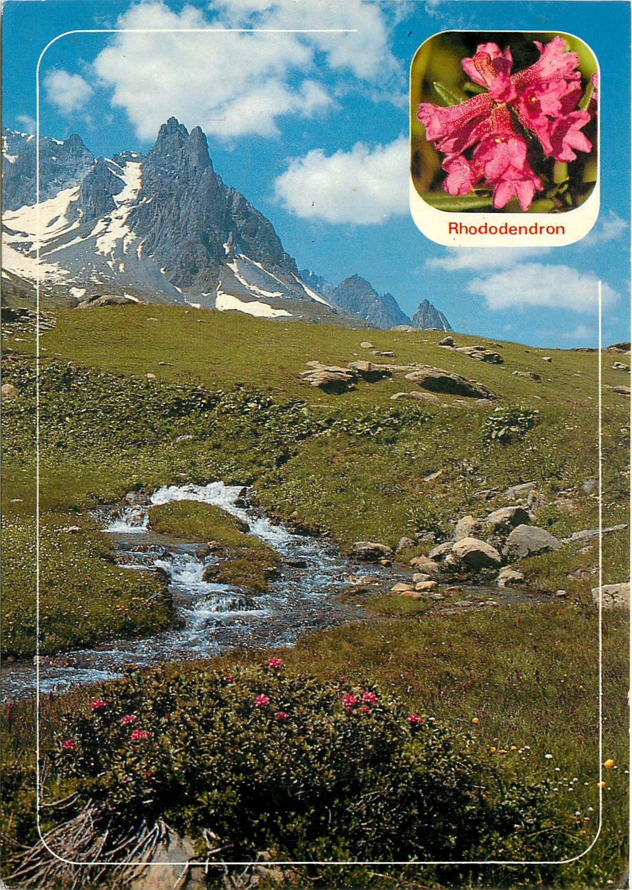 CPSM Images de chez nous en montagne la Rhododendron