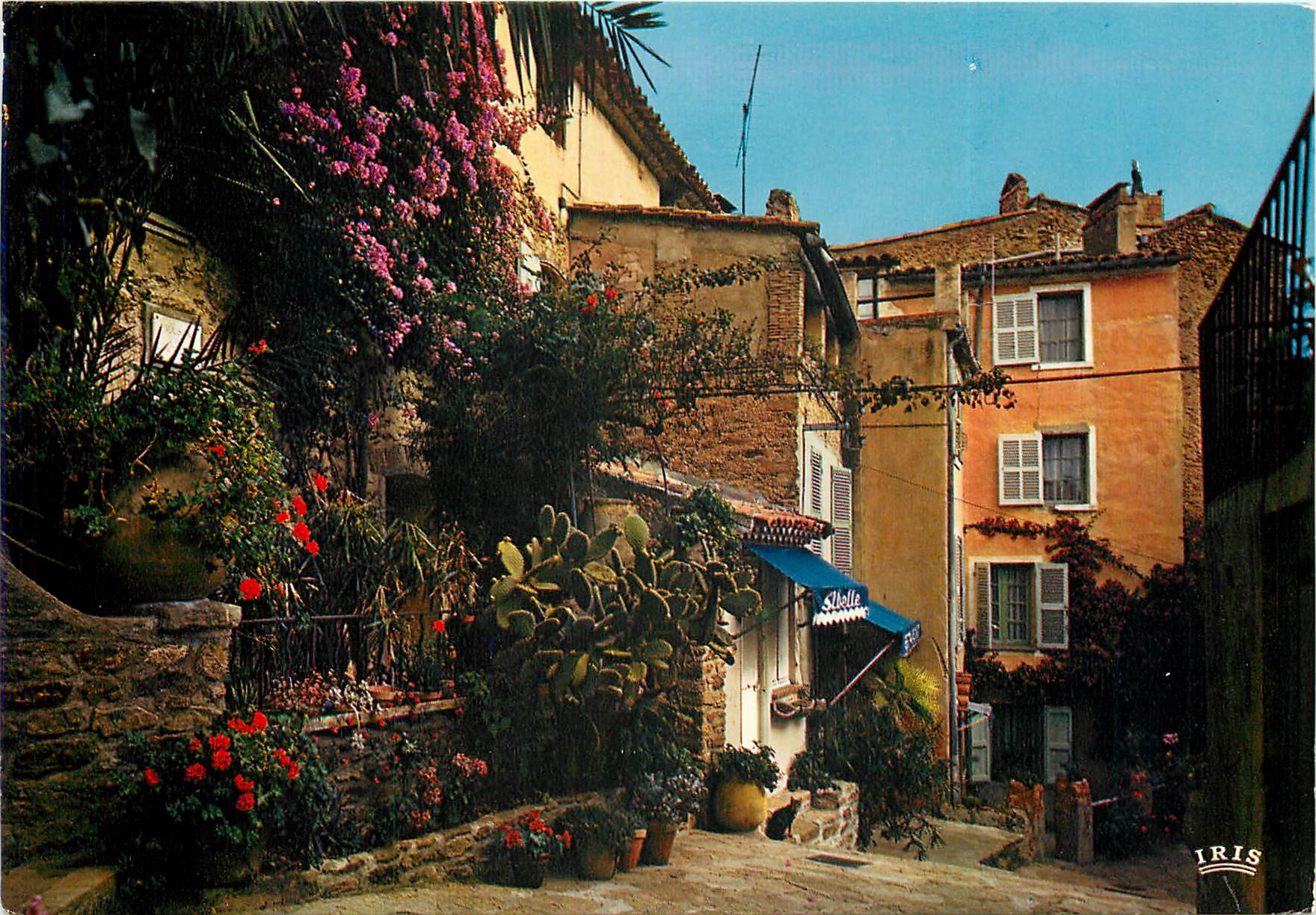 CPSM La Cote D'Azur Bormes les Mimosas un coin pittoresque