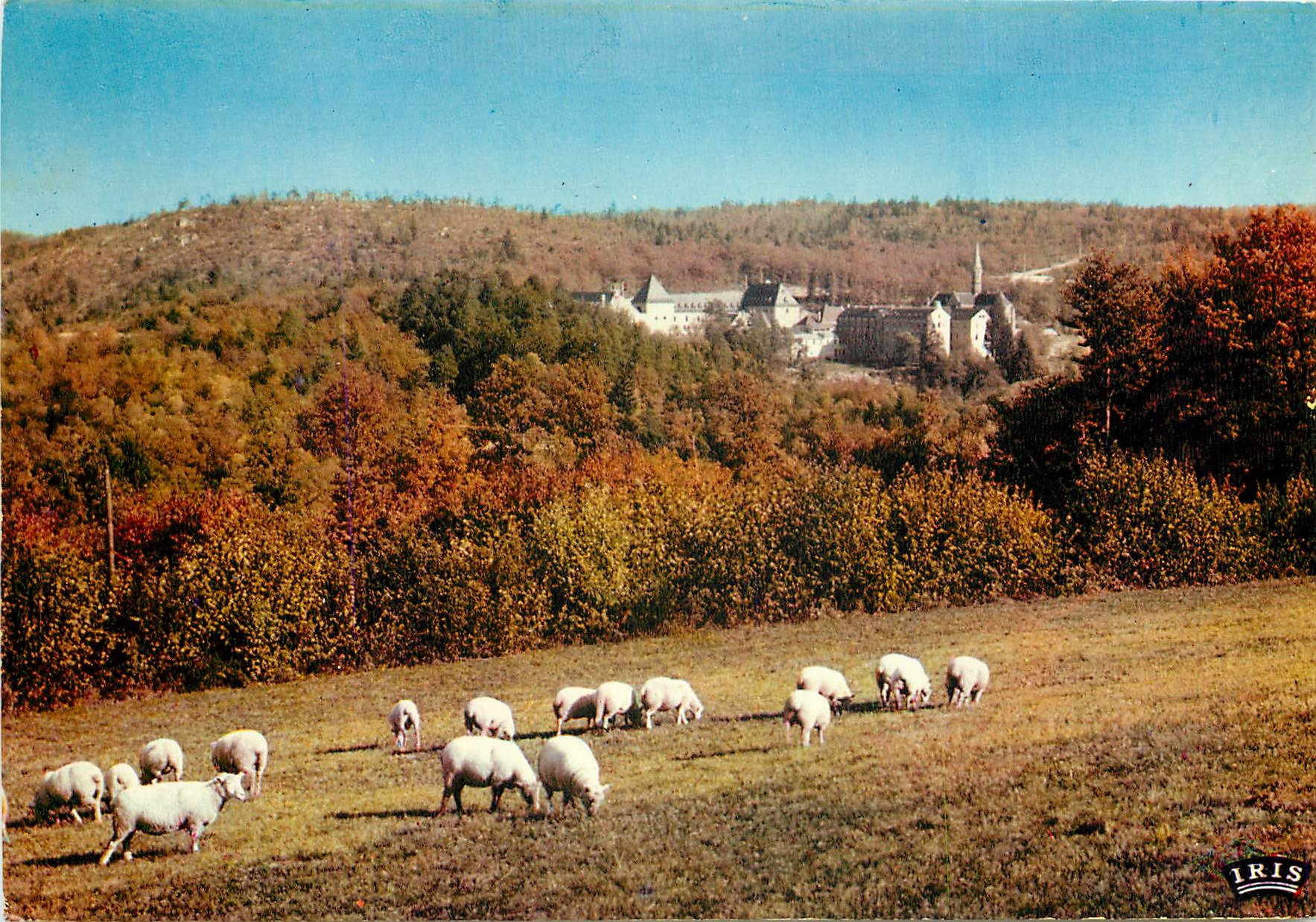 CPSM Abbayes de la Pierre qui vire vue generale (Cote Sud)