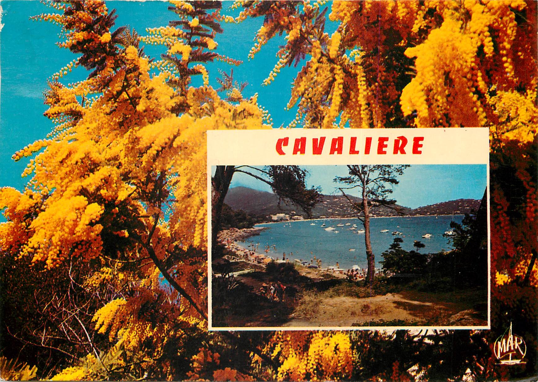 CPSM La Cote d'Azur Cavaliere cap Negre la PLage du Layet