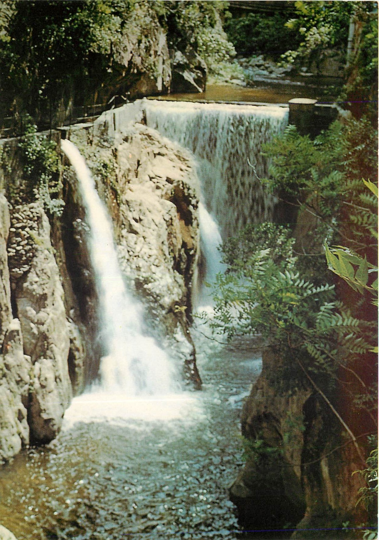 CPSM Amelie les Bains Perle des Pyrenees la Cascade d'Annibal dans les Gorges du MondonyRichardais F