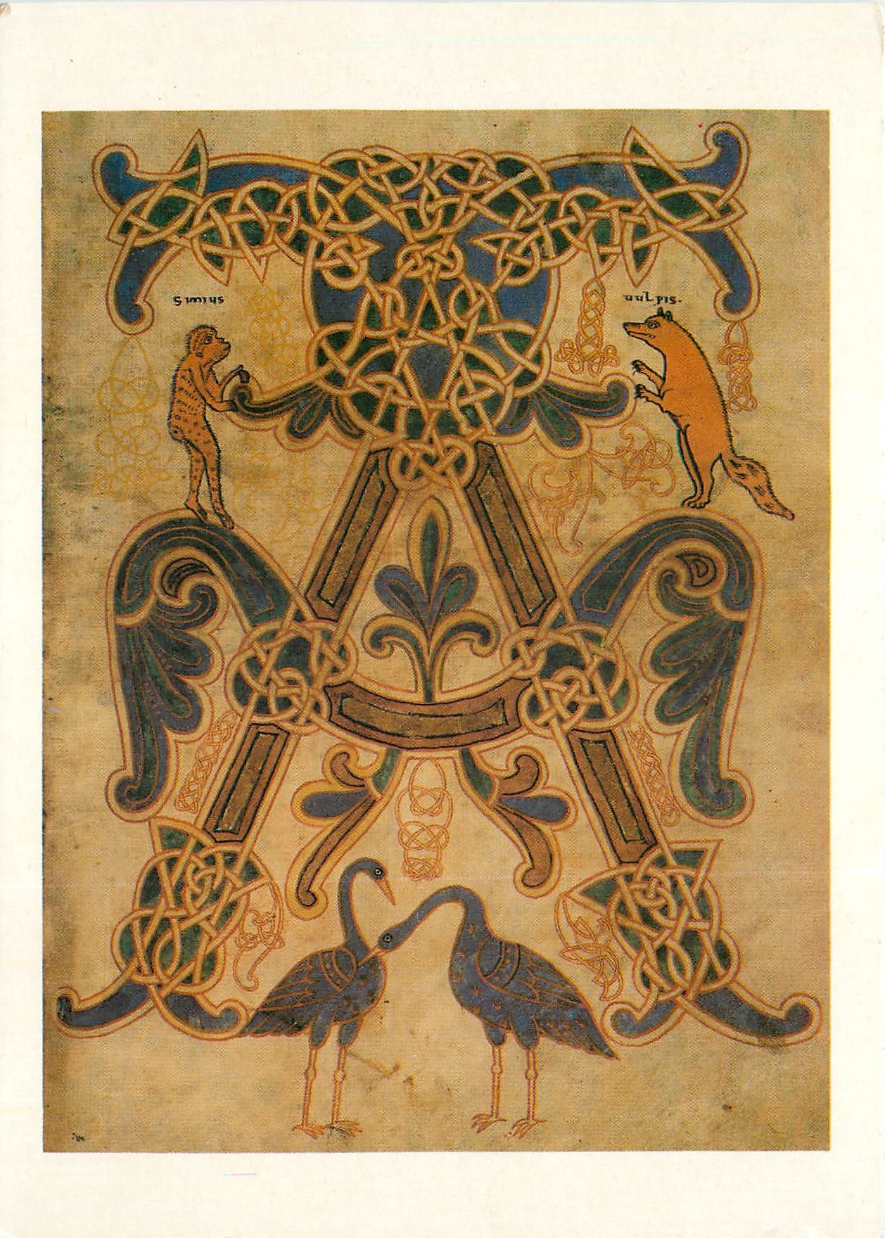 CPSM Musee des Jacobins Saint Sever (Landes)