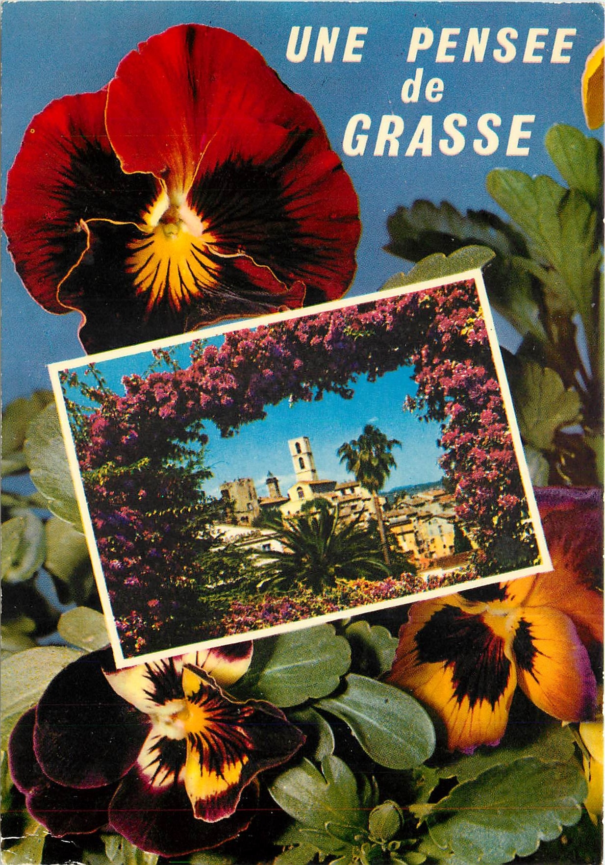 CPSM Grasse La Cite des Parfums
