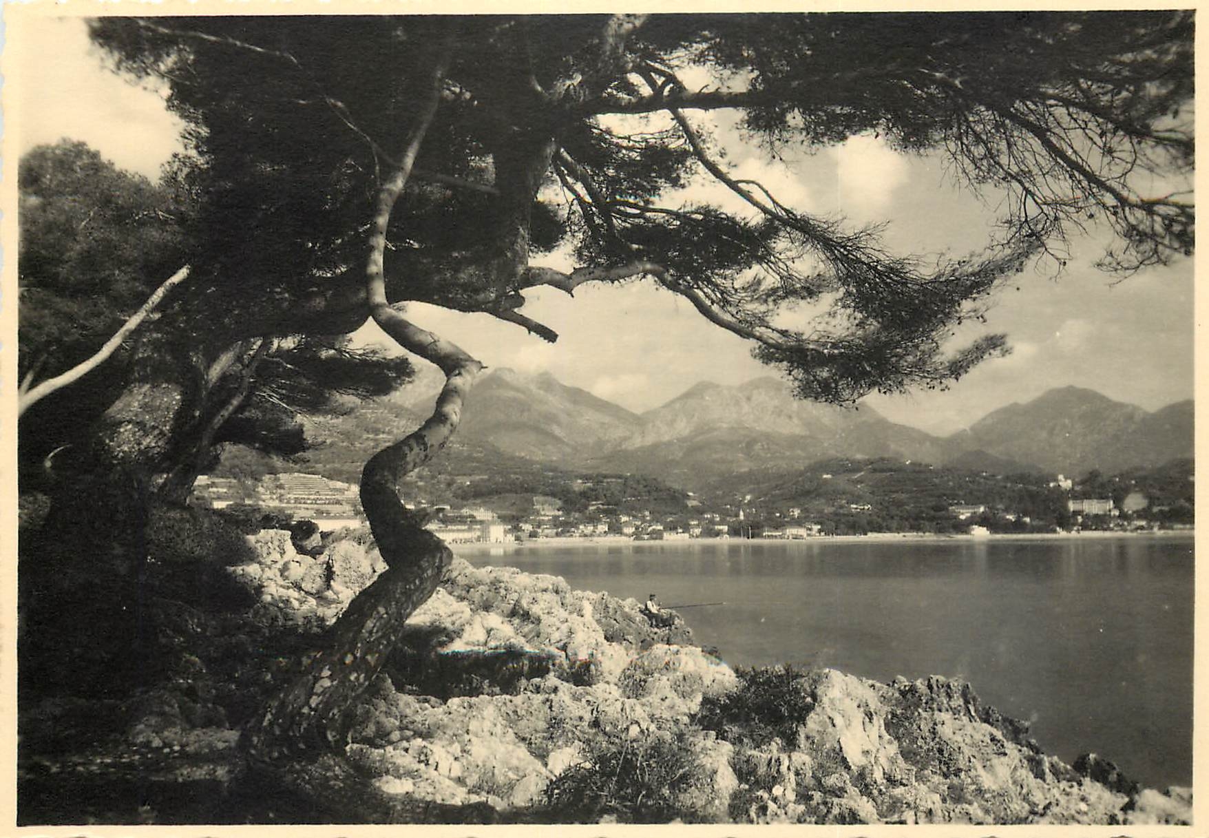 CPSM cote d'azur Cap Martin