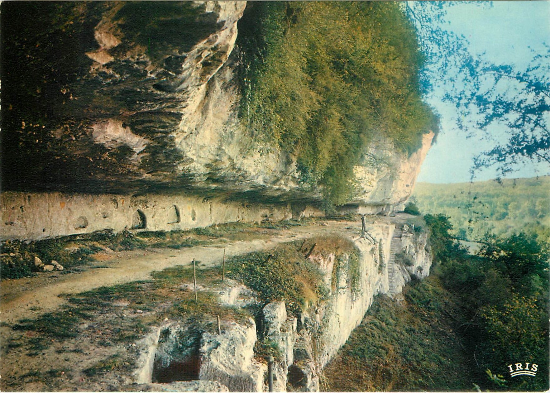 CPSM Peyzac le Moustier (Dordogne) Vallee de la Vezere au pas du Miroir le Grand Abri Troglodytique