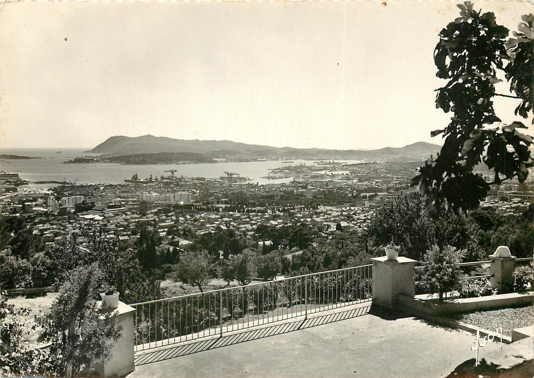 CPSM Toulon (Var) Vue paroramique Cap Cicie et les Deux Freres