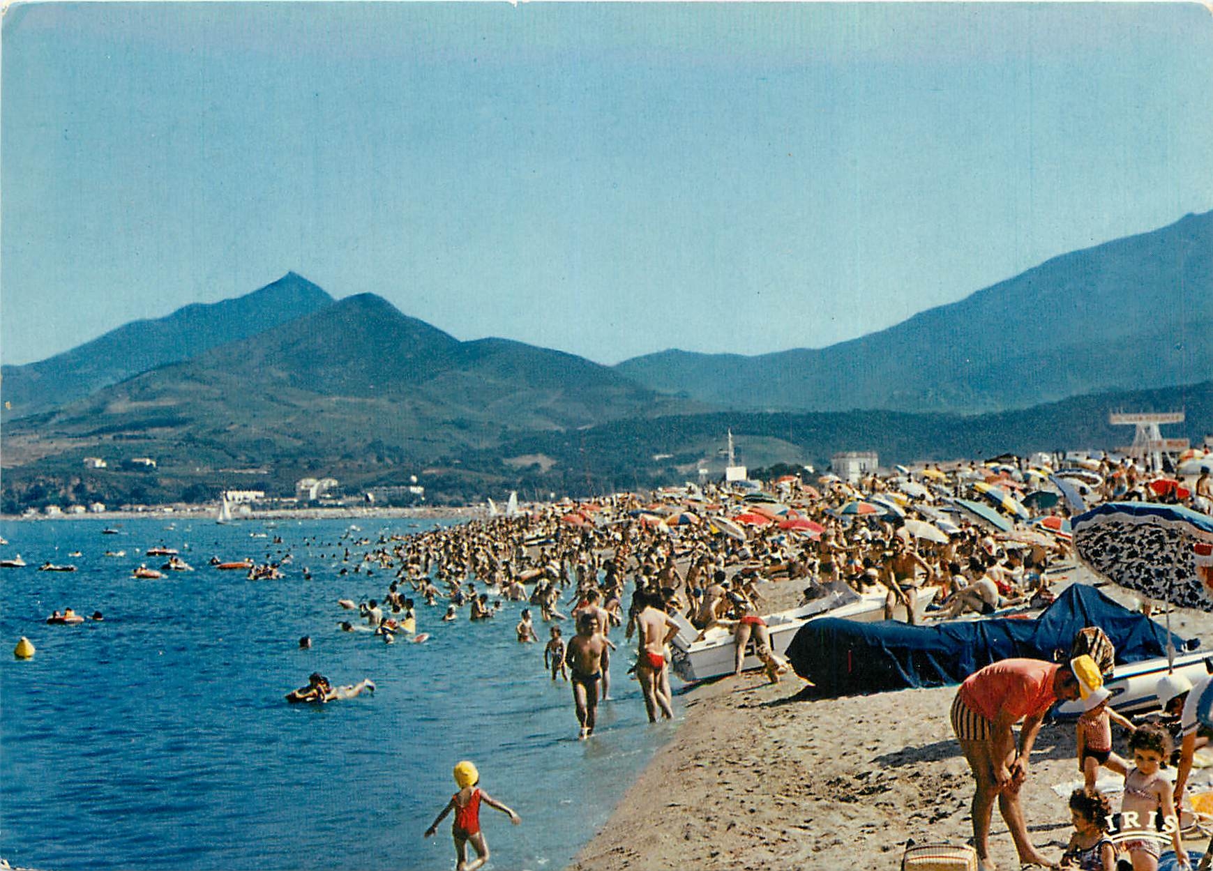 CPSM Argeles sur Mer (Pyrenees Orientales) La Plage et la chaine des Alberes