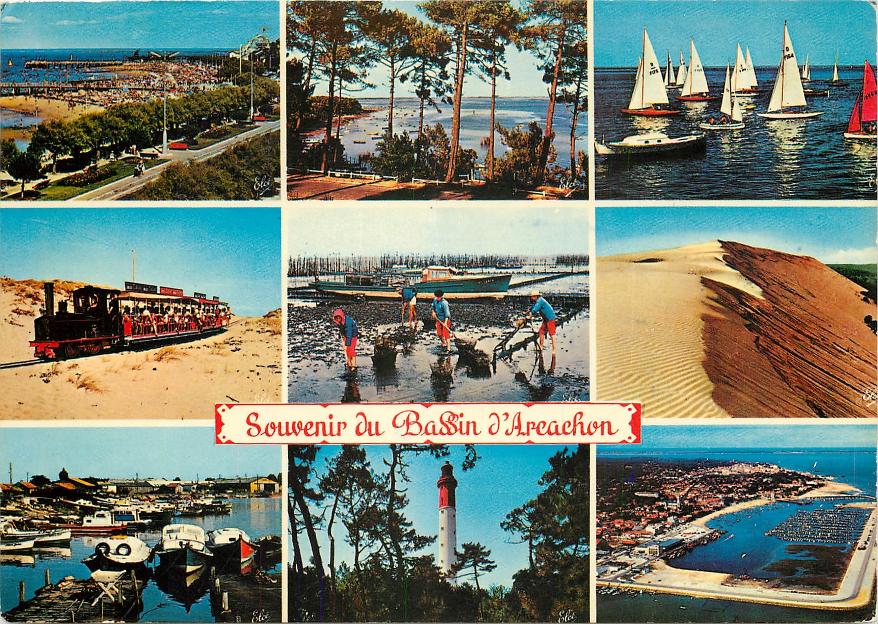 CPSM Souvenir du Bassin d'Arcachon