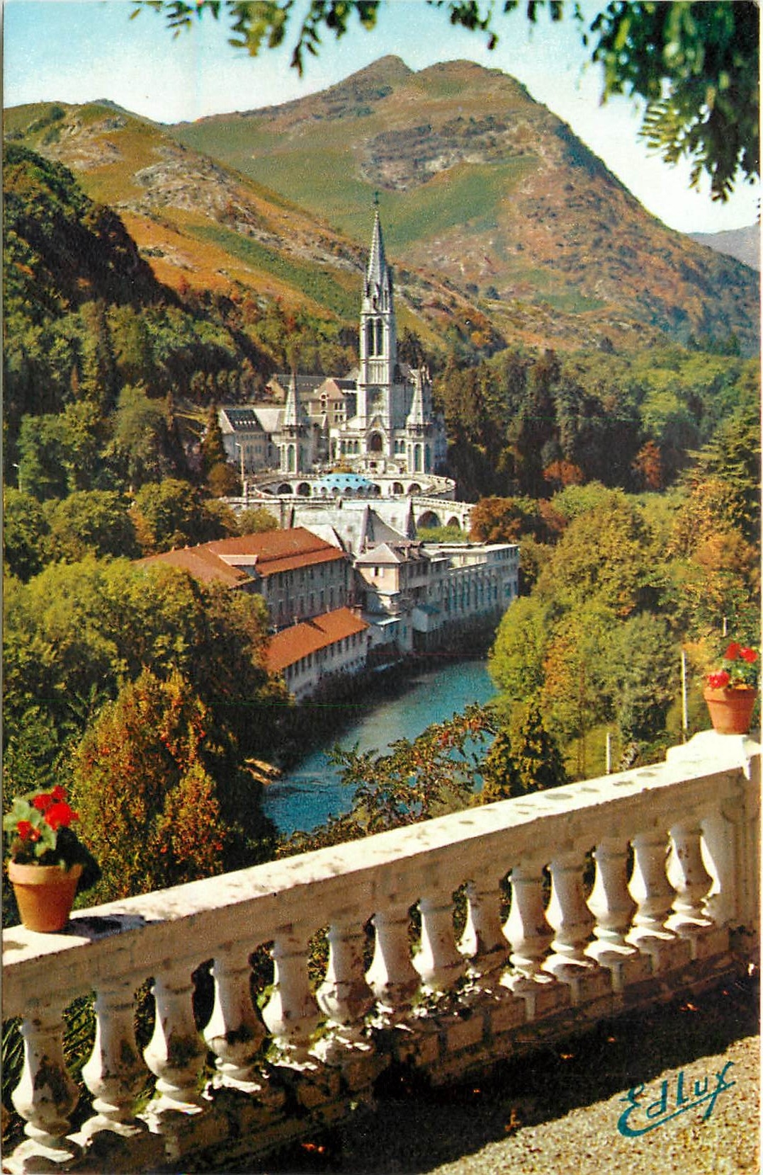 CPSM Lourdes La Basilique et la Gave