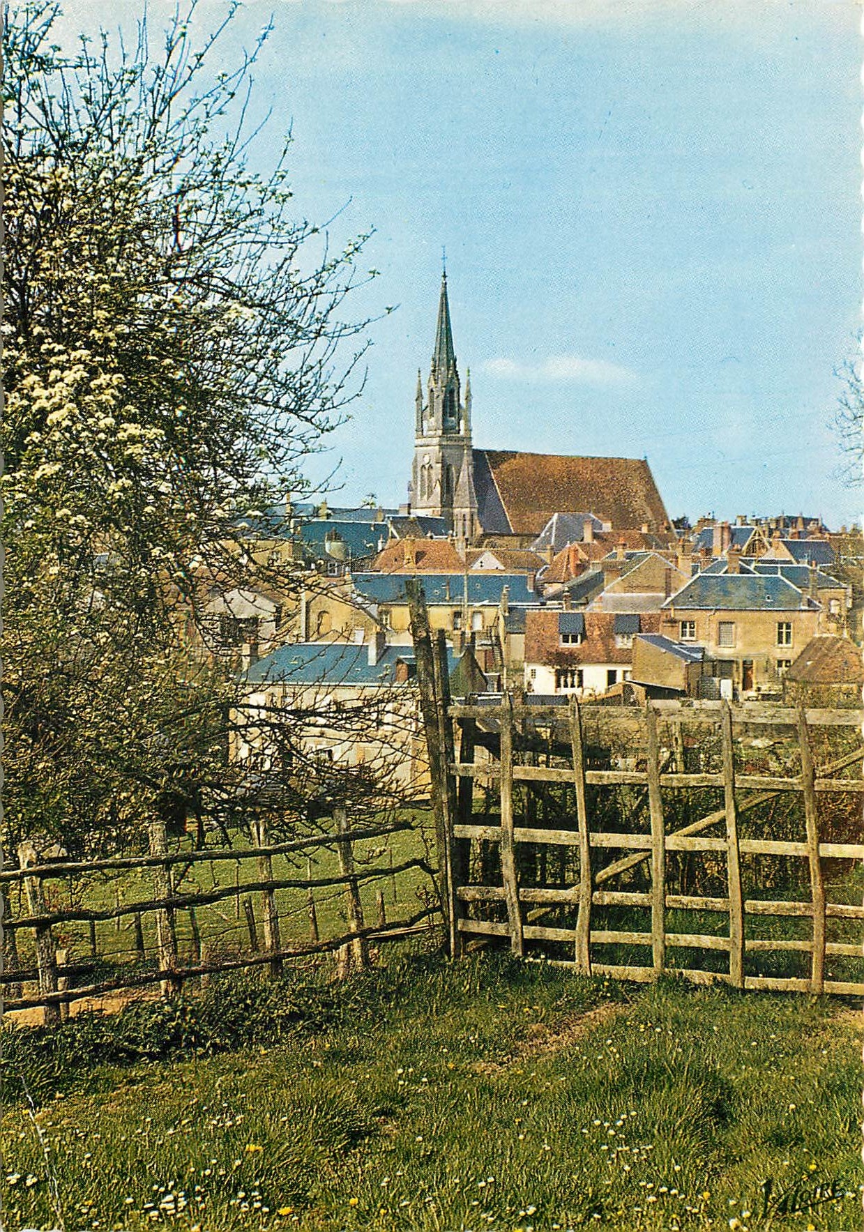 CPSM Mondoubleau (Loir et Cher) La petite ville et son eglise vues des Vergers