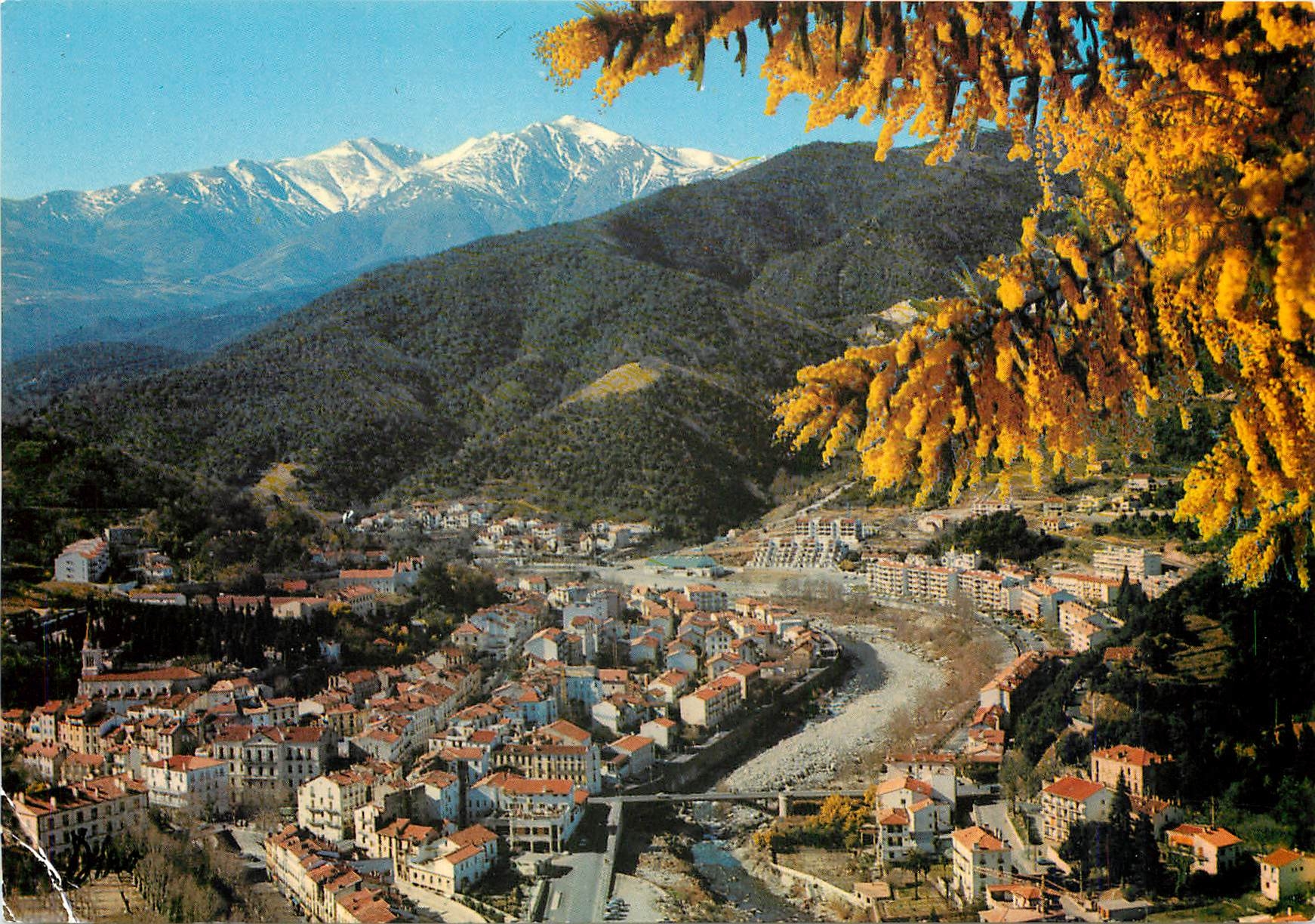 CPSM Lumiere et Couleurs du Vallespir Amelie les Bains