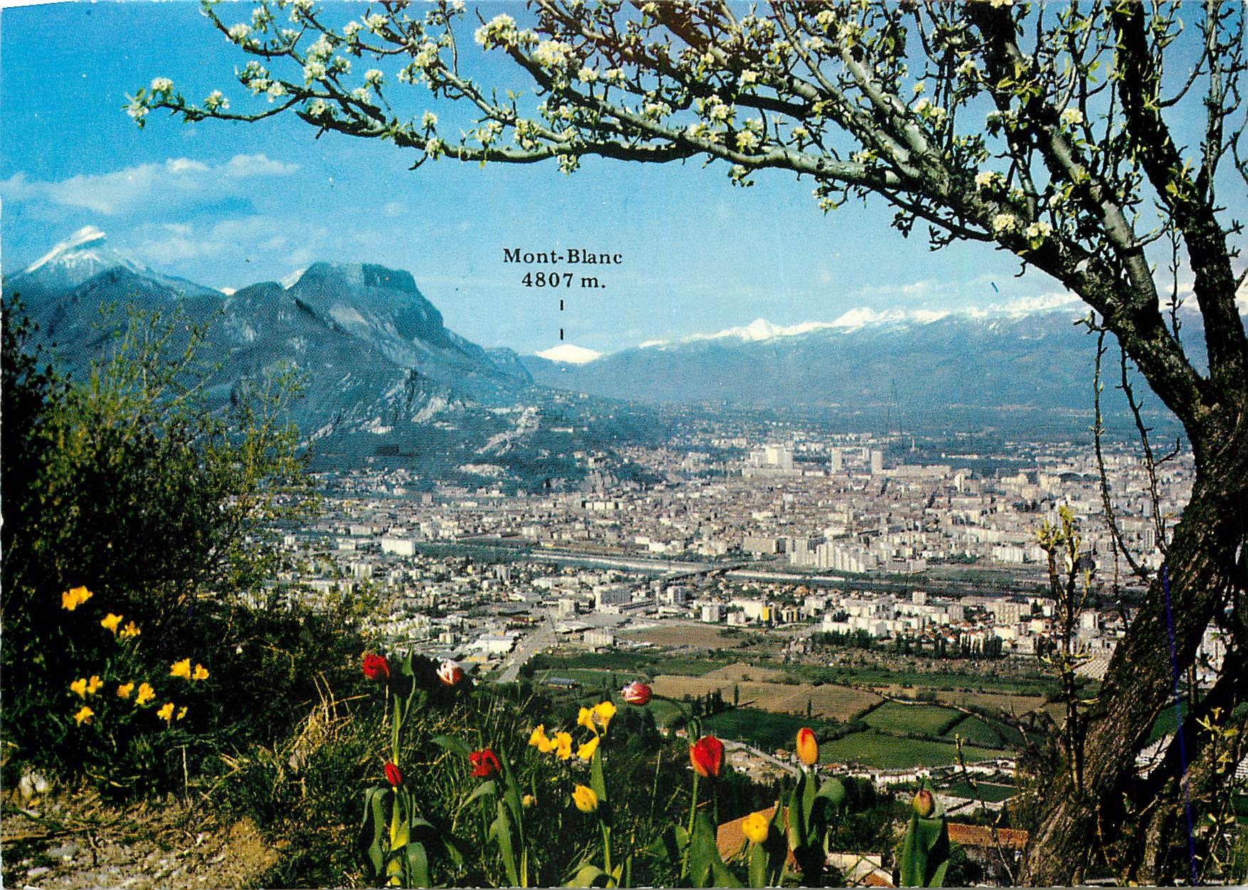 CPSM Grenoble Vue panoramique a gauche massif de la chartreuse