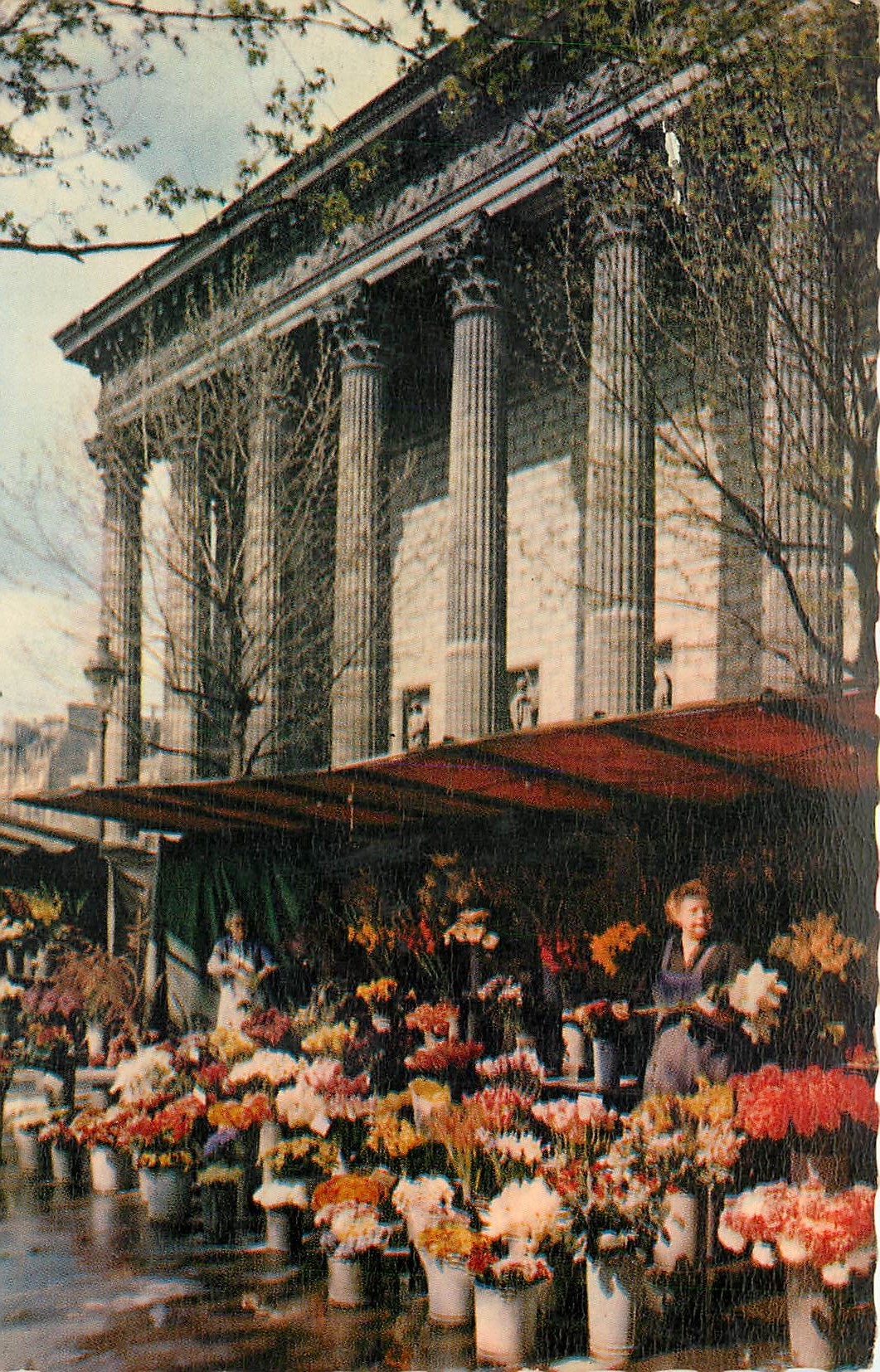CPSM paris le marche aux Fleurs Place de la Madeleine