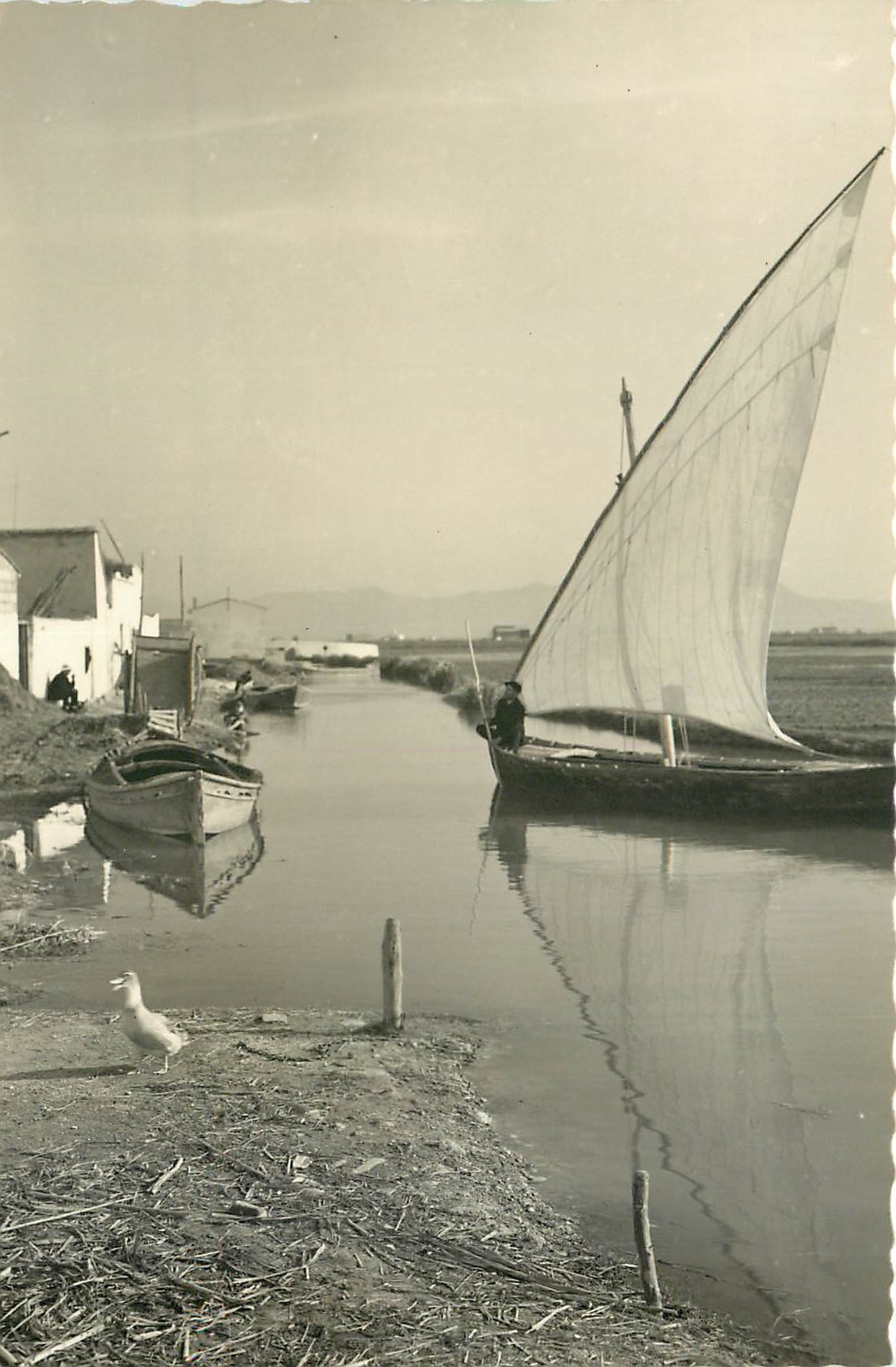 CPSM Valencia et Palmar Canal de Albudera