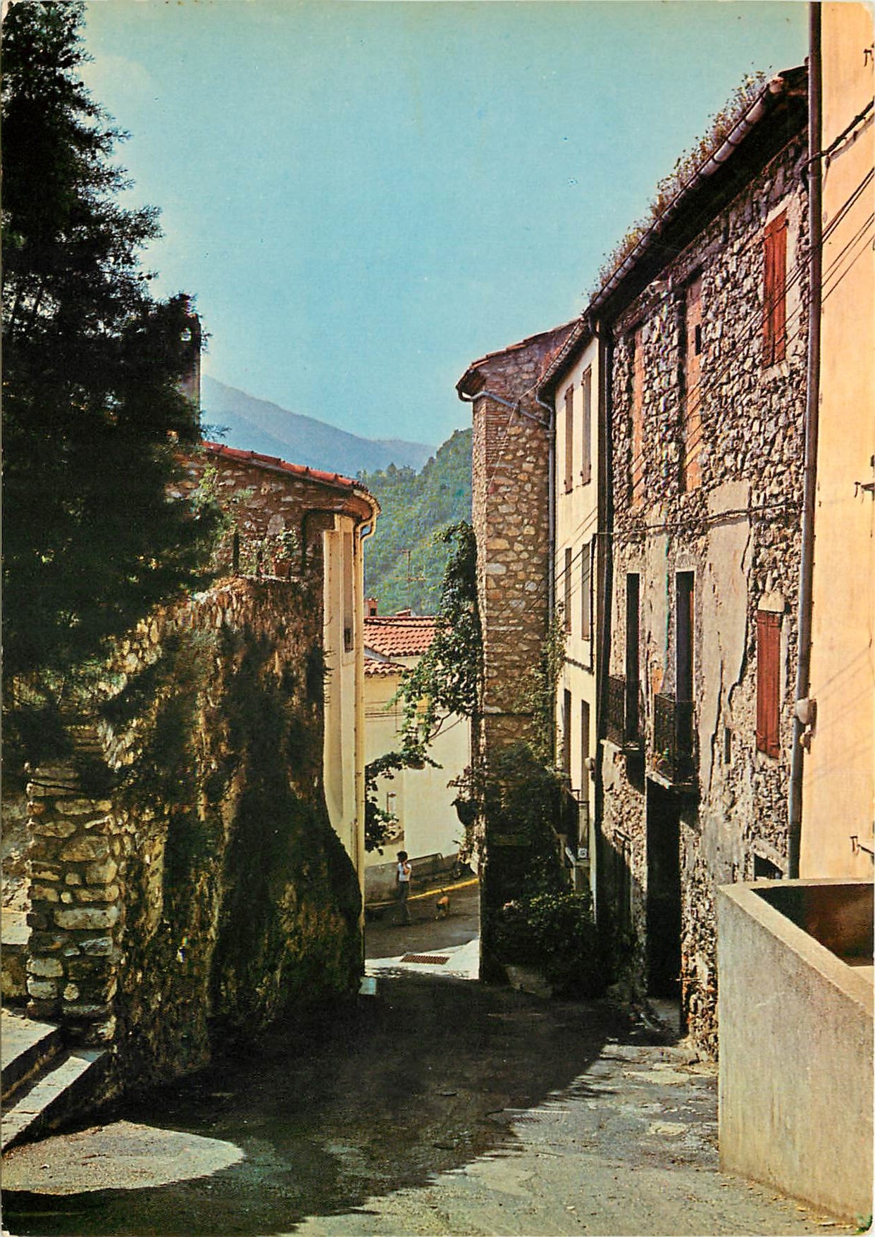 CPSM Amelie les Bains (Alt 230 m) Perle des Pyrenees Palalda Carrer de l'Aire