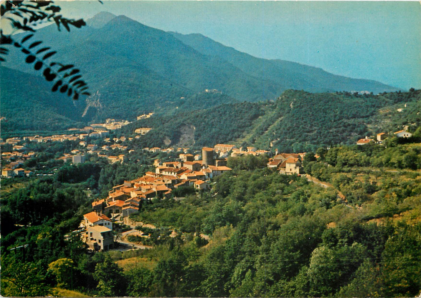 CPSM Amelie les Bains (Alt 230 m) Perle des Pyrenees Palalda Vue de Soubreville