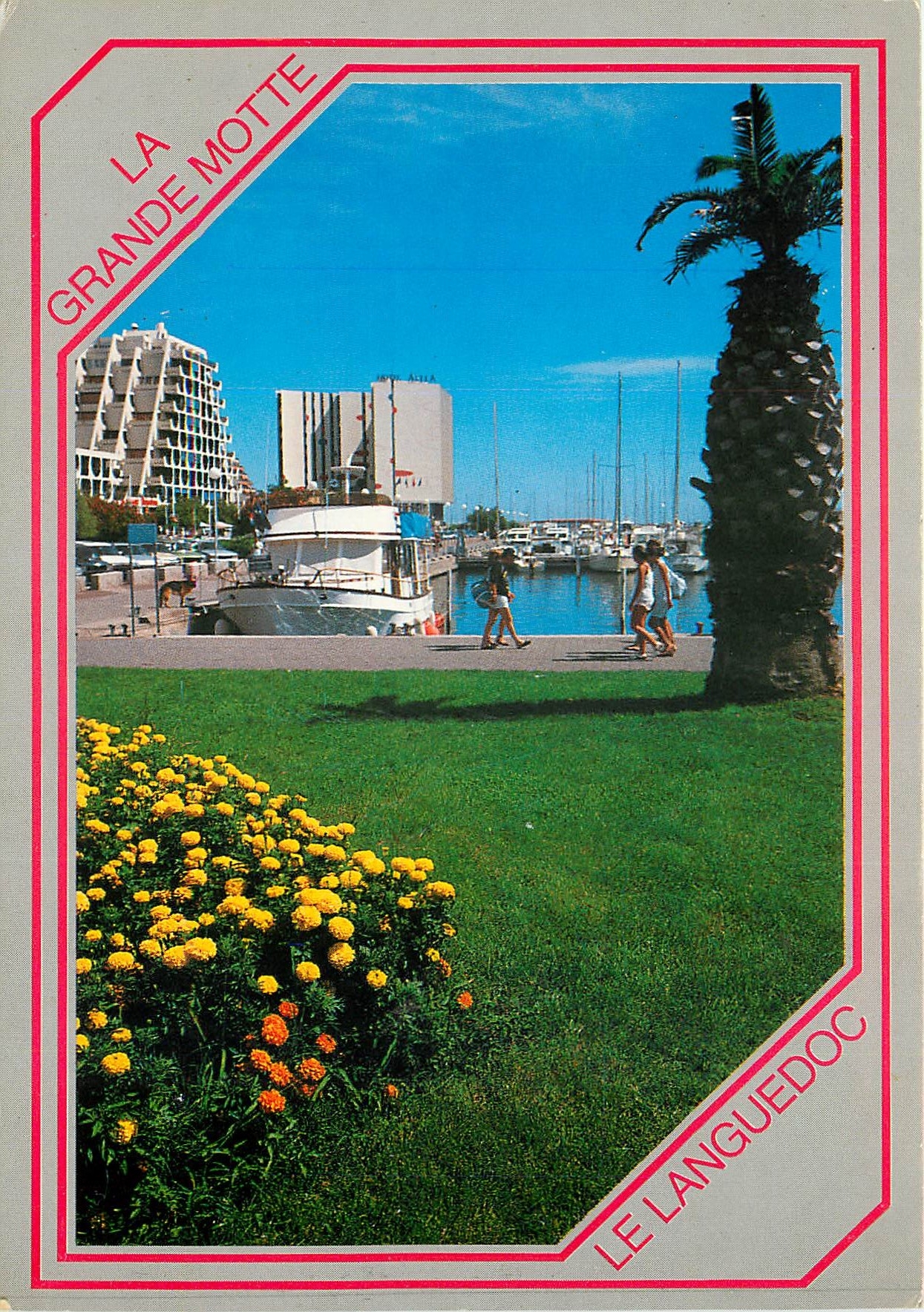 CPSM La Grande Motte La Ville de l'An 2000 Jardin Fleuri a l'Arriere plan un coin du port