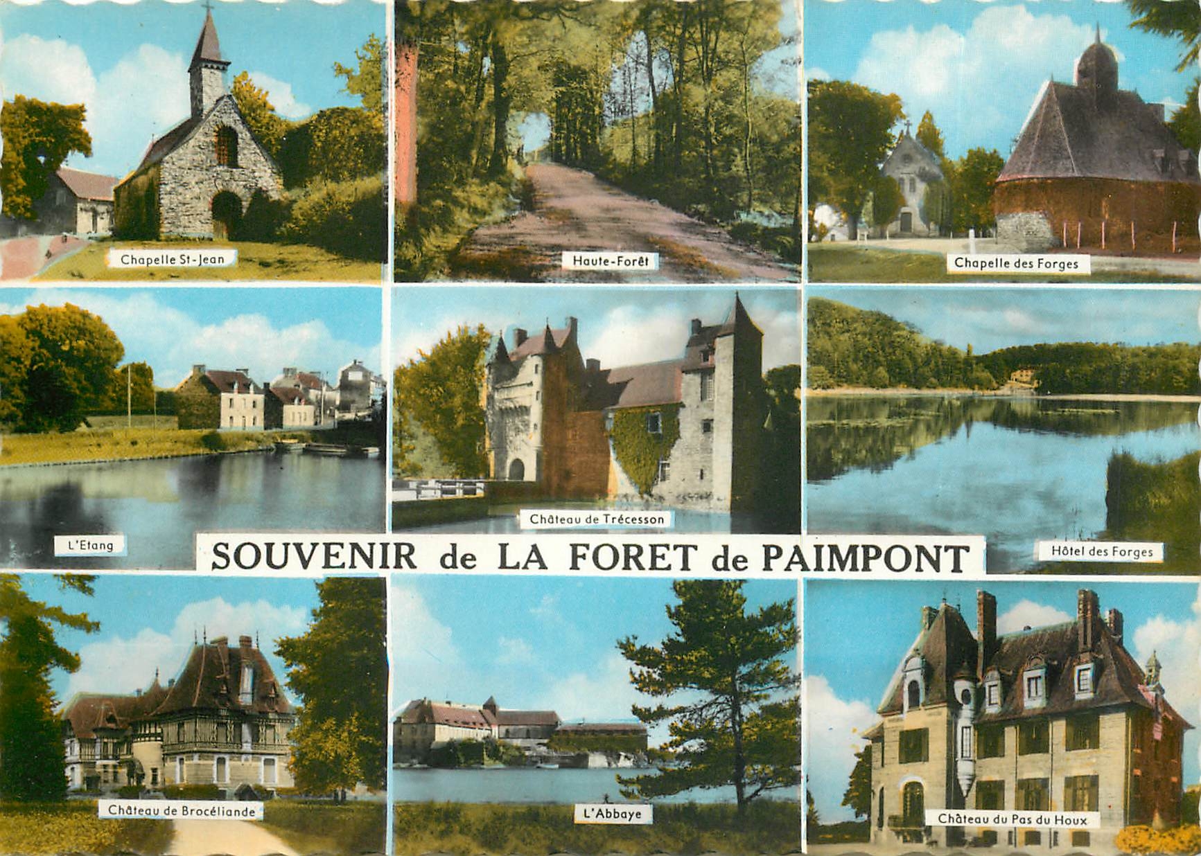 CPSM Souvenir de la Foret de Paimpont